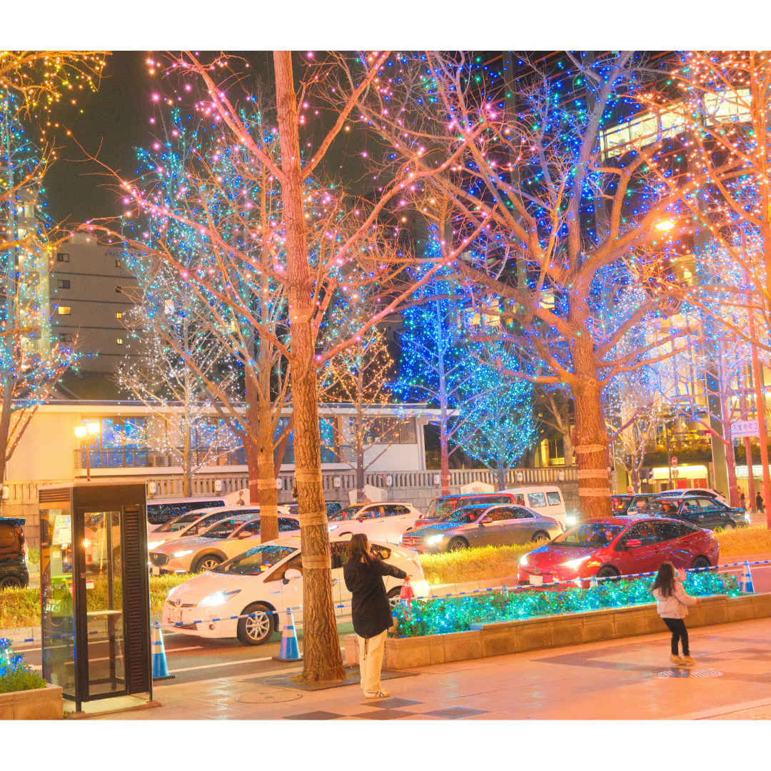 Midosuji Illumination Osaka 2025 with glowing lights along the street