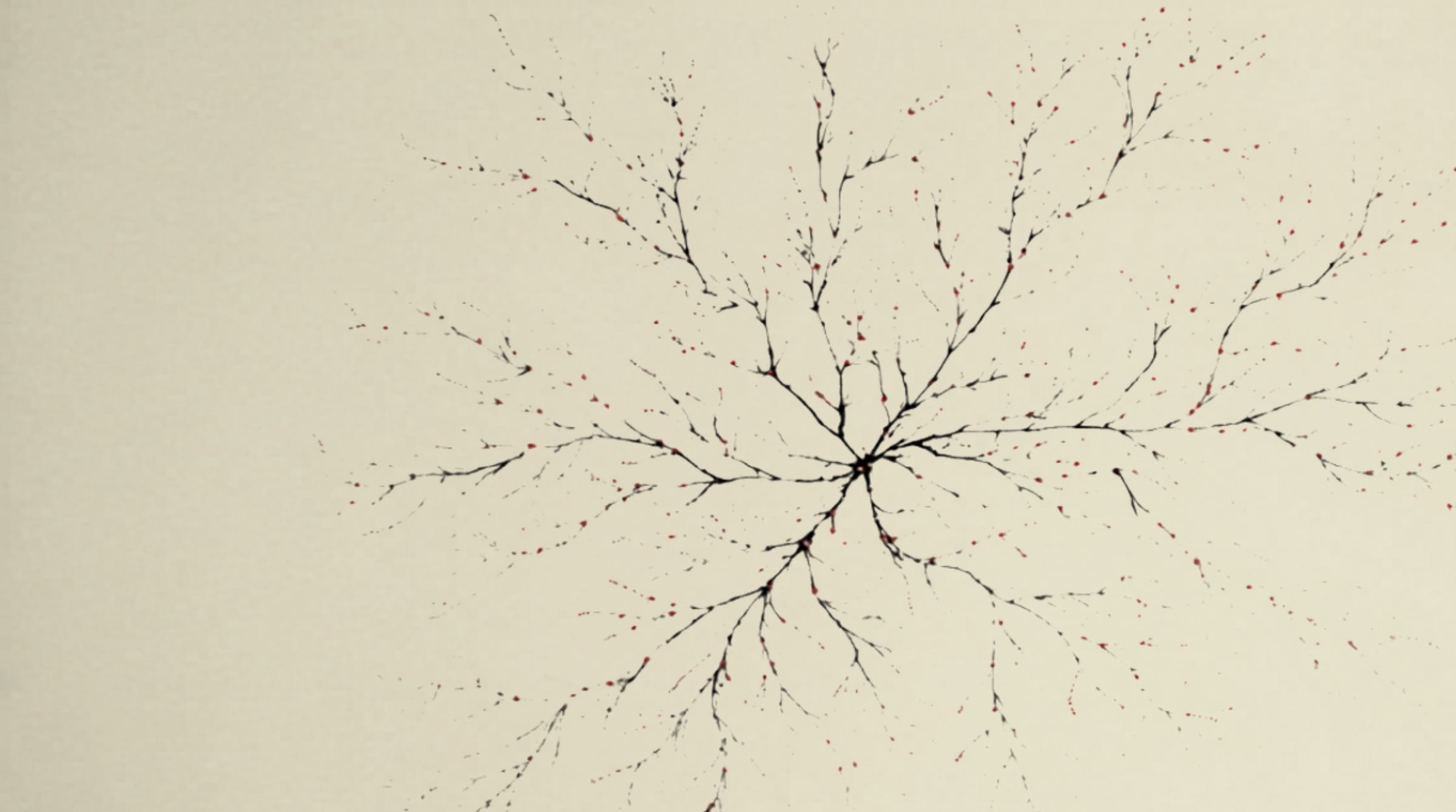 The Generative Phenotype
