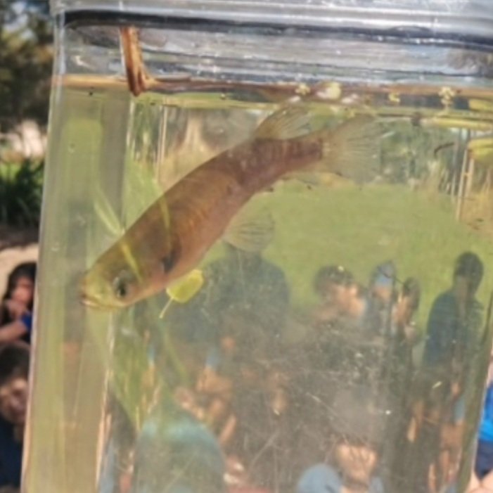 Sparking Children's Curiosity Through Ecology