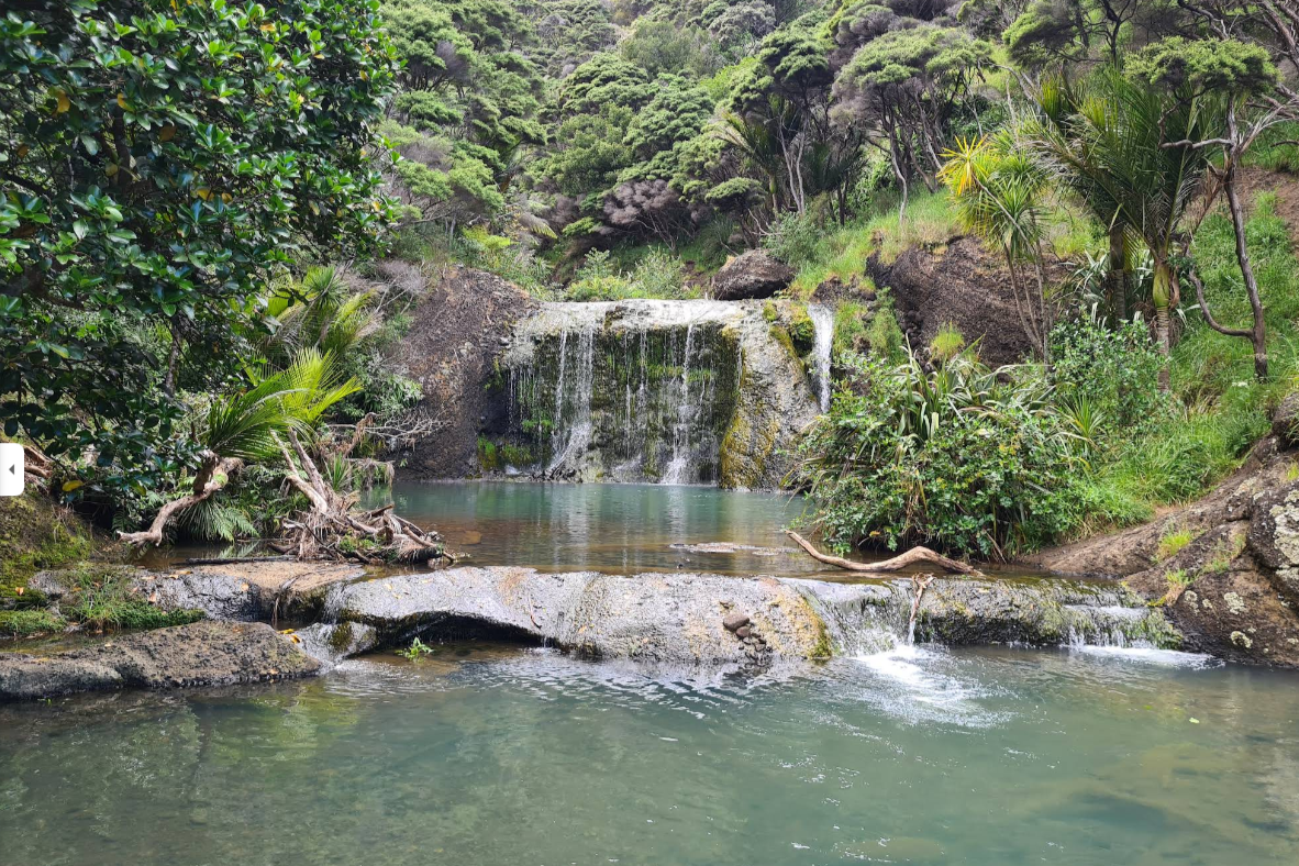 In the remote coastal community of Te Henga/Bethells, where public transport is non-existent and distances make walking or cycling impractical, a homegrown solution is driving real change. Read more about the project.