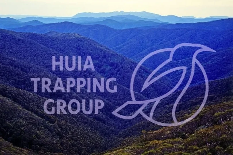 We're excited to confirm the presence of pekapeka tou roa in Huia thanks to collaborative efforts with the Huia Trapping Group and Te Kawerau ā Maki. Read more about the process here.