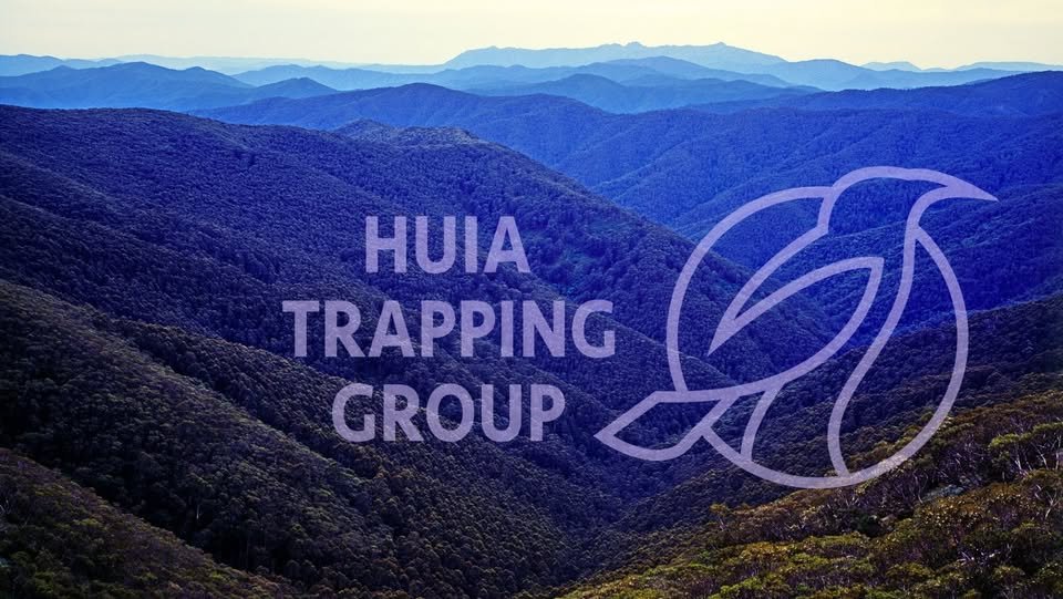 Tiaki Pekapeka with The Huia Trapping Group