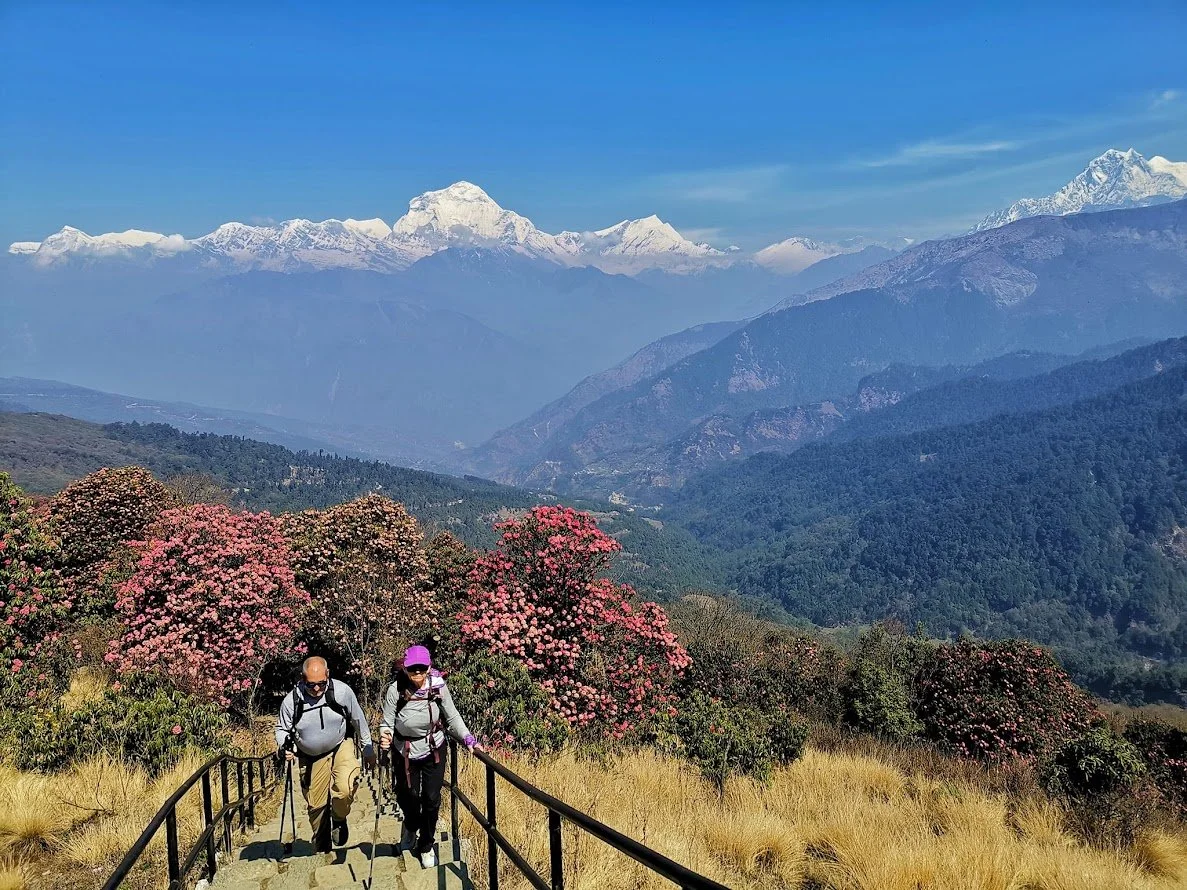 Trekking scenery.jpeg