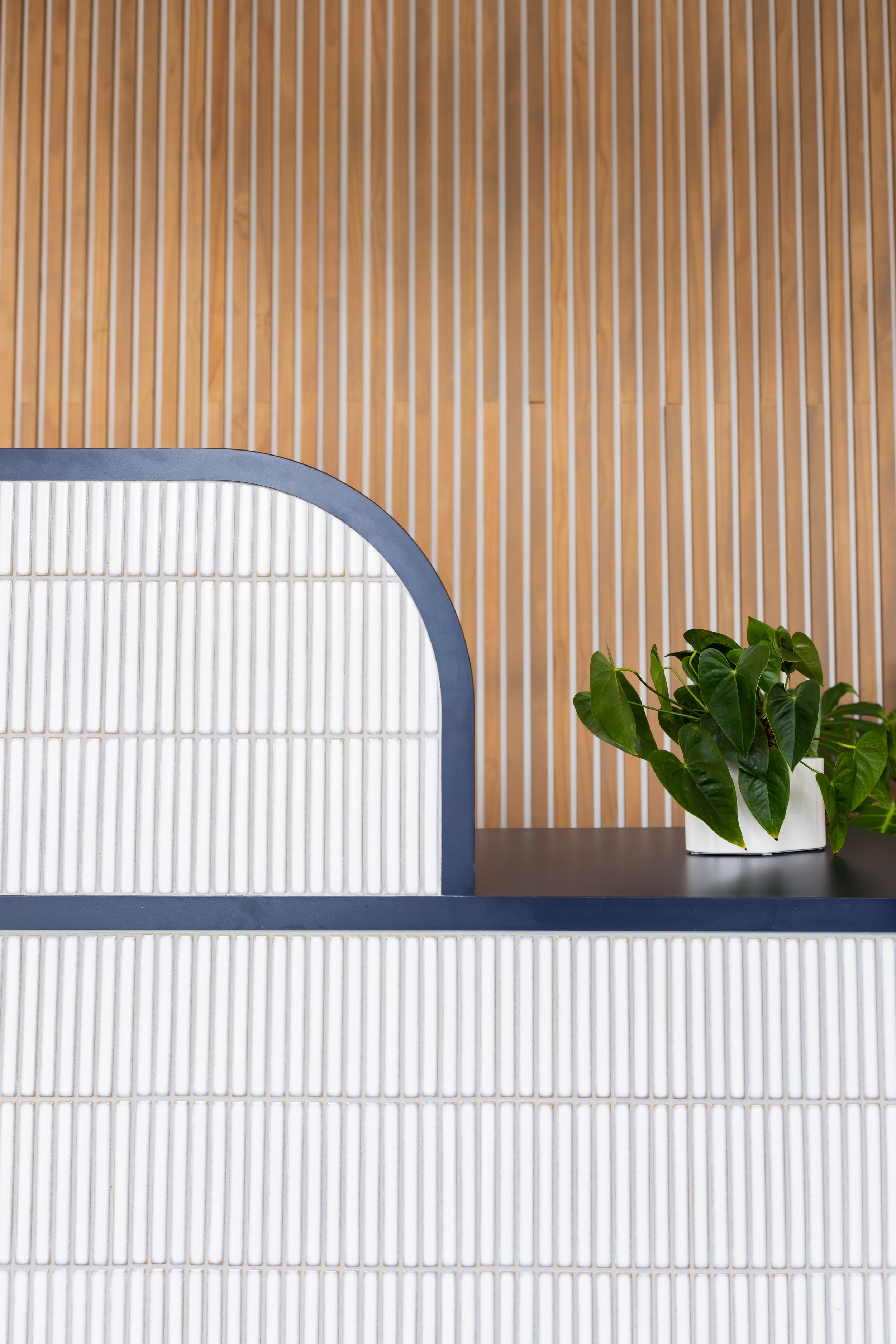 Interior decor with a modern design featuring a wooden slatted wall, a section of a white and blue curved structure, and a potted green plant on a dark surface.