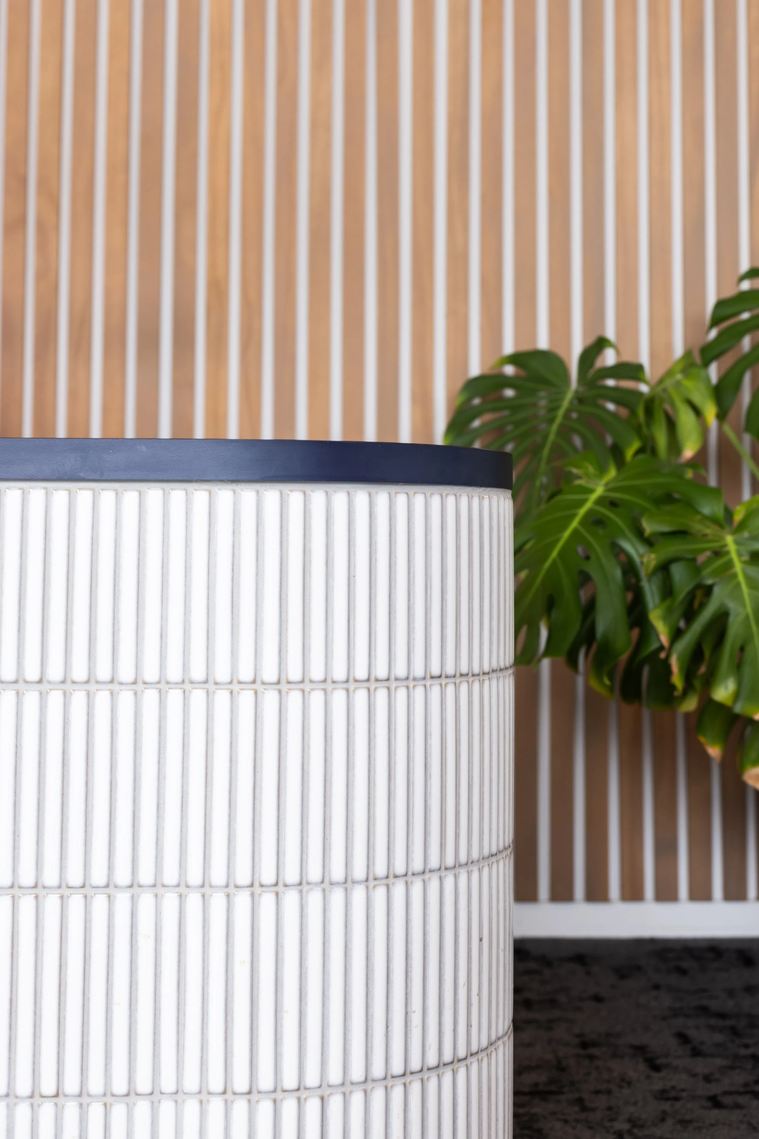 Close-up of a cylindrical white textured object with a dark top, placed on a dark surface with a green leafy plant and a wooden slatted background.