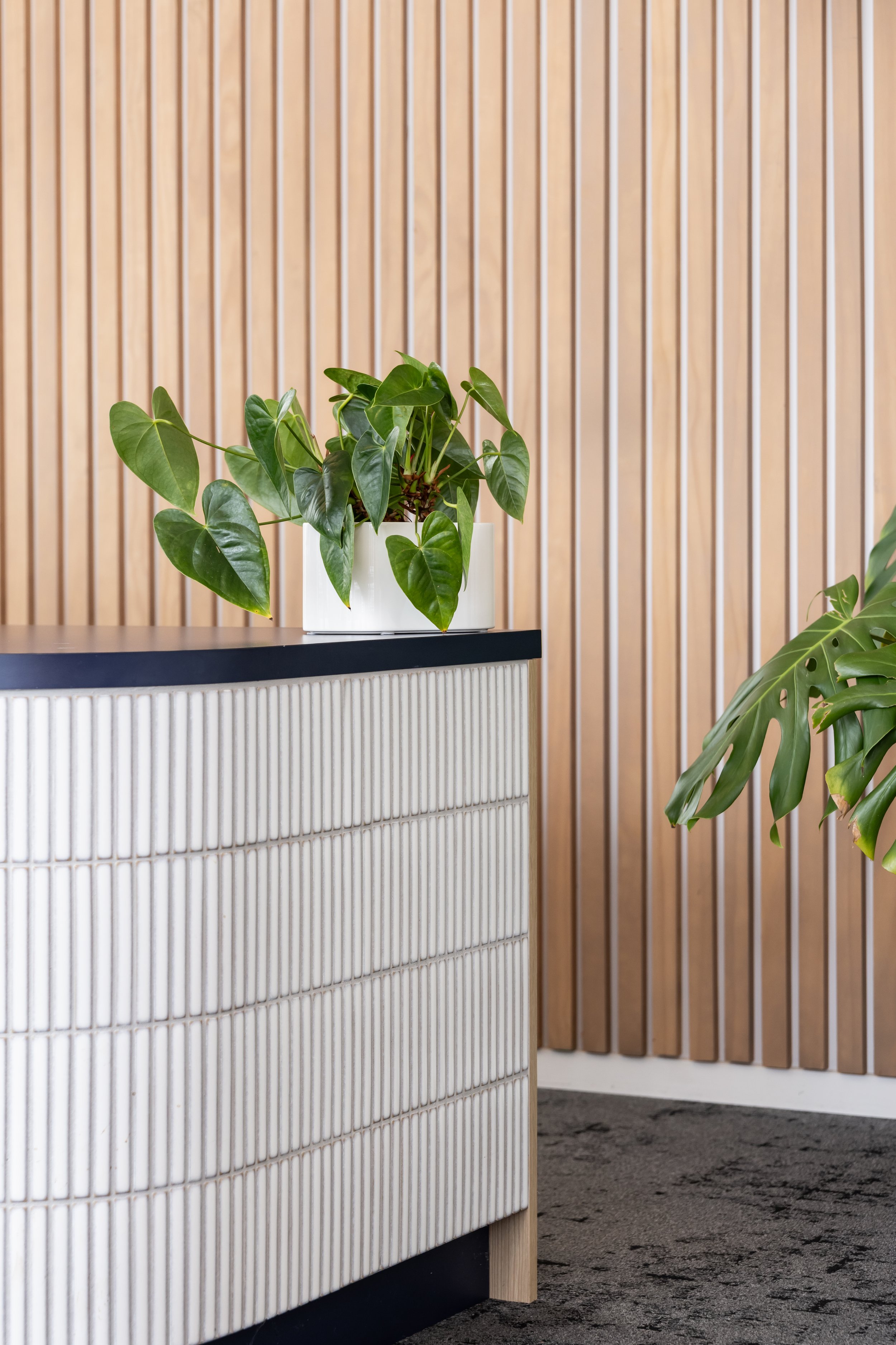 Indoor space with a wooden slat wall, white textured storage unit, and potted greenery