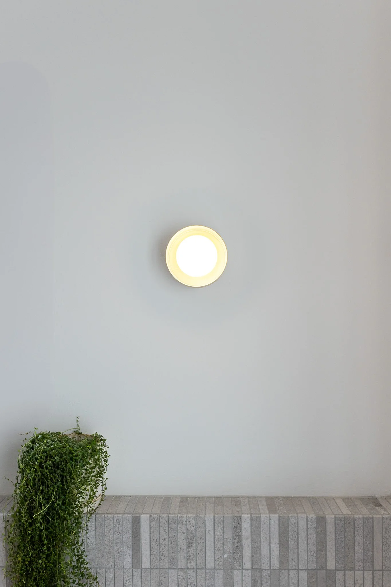 A white wall with a circular ceiling light and a small green plant on a ledge.