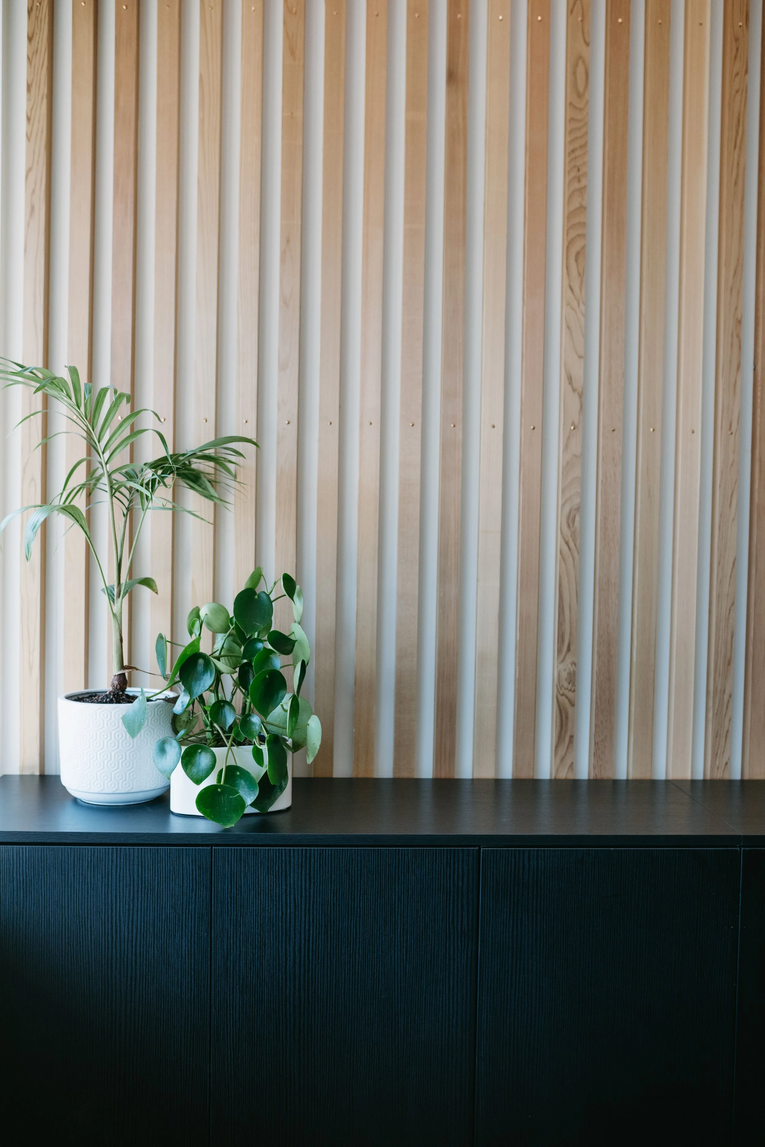 Two potted green plants on a black cabinet against a light wooden slatted wall.