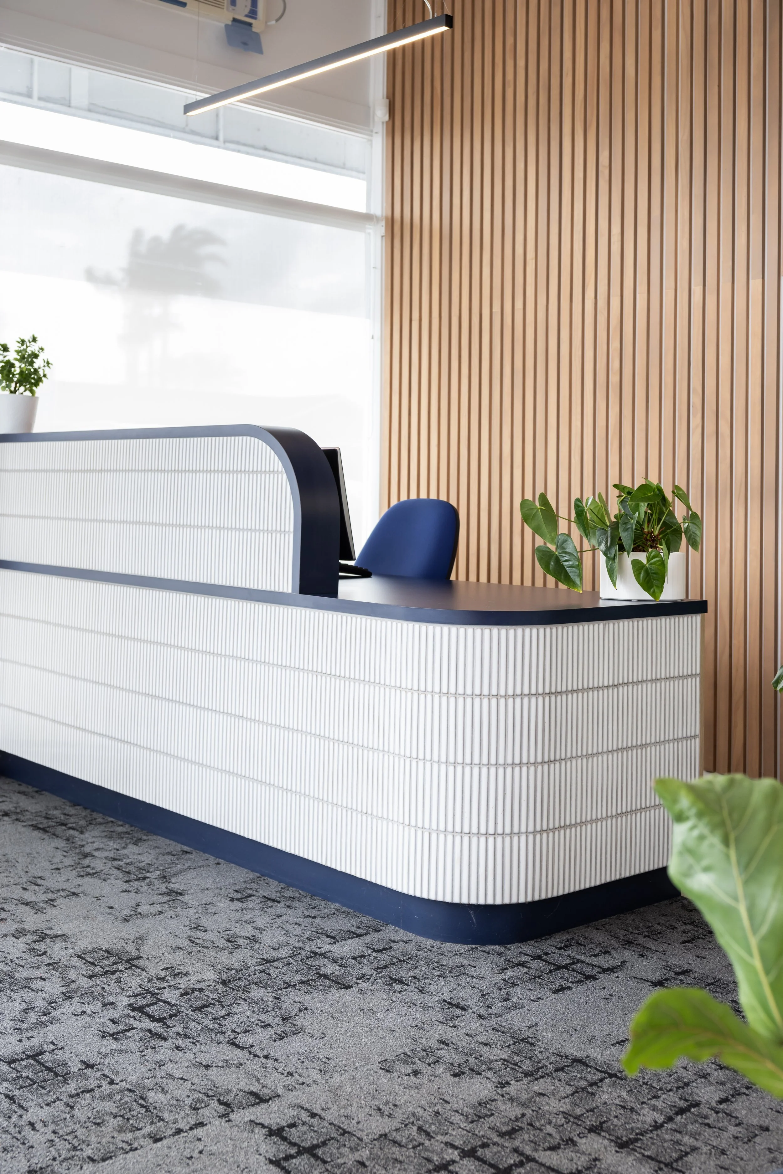 Modern office reception desk with white textured panels, a blue office chair, green potted plants, wooden wall paneling, and a large window letting in natural light.