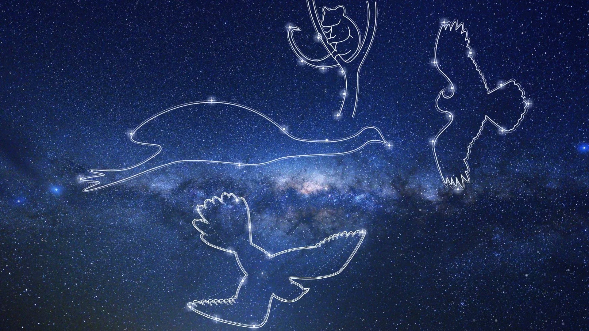 Animal_Constellations_mobile_fallback.jpg
