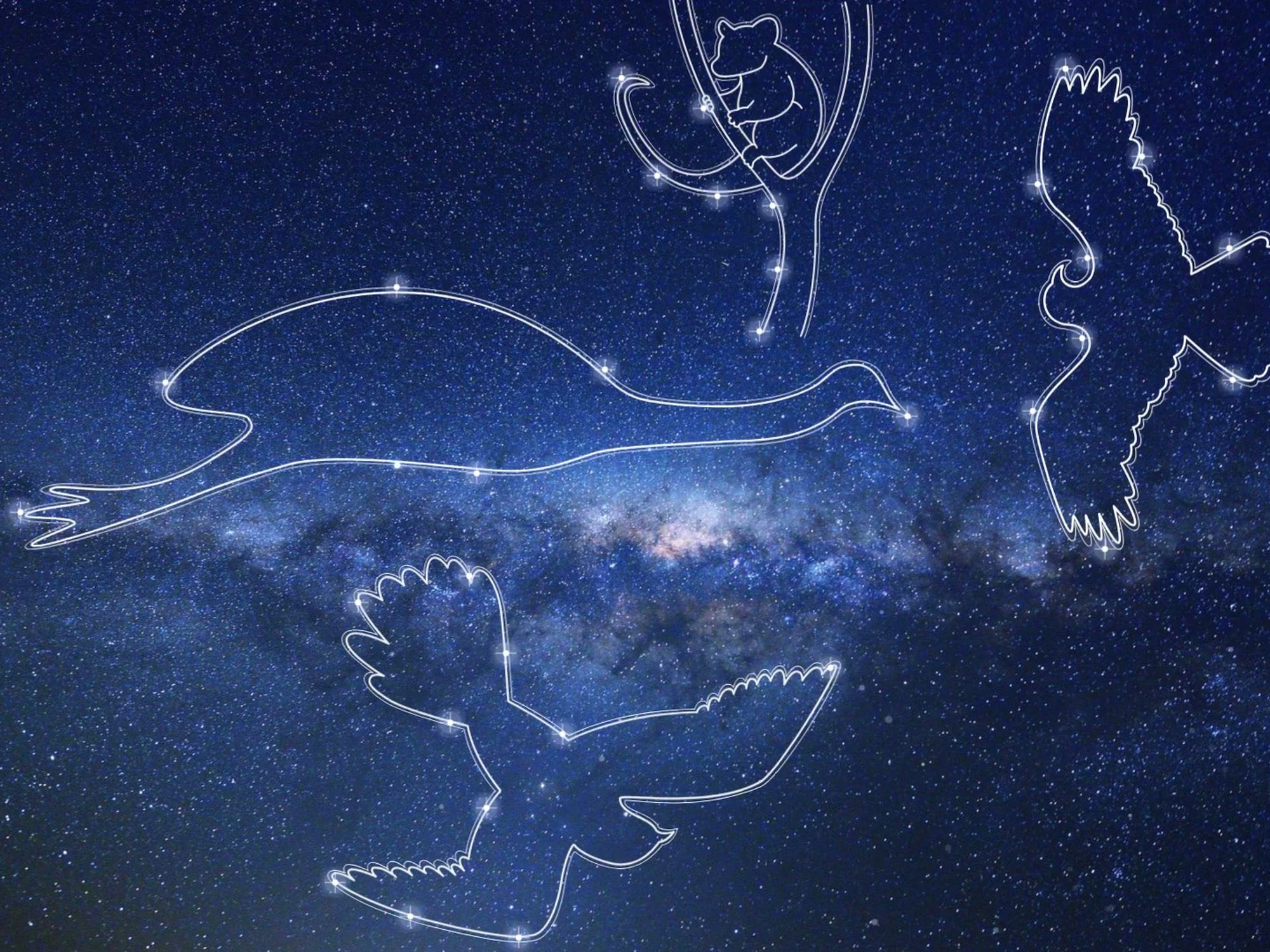 Animal Constellations