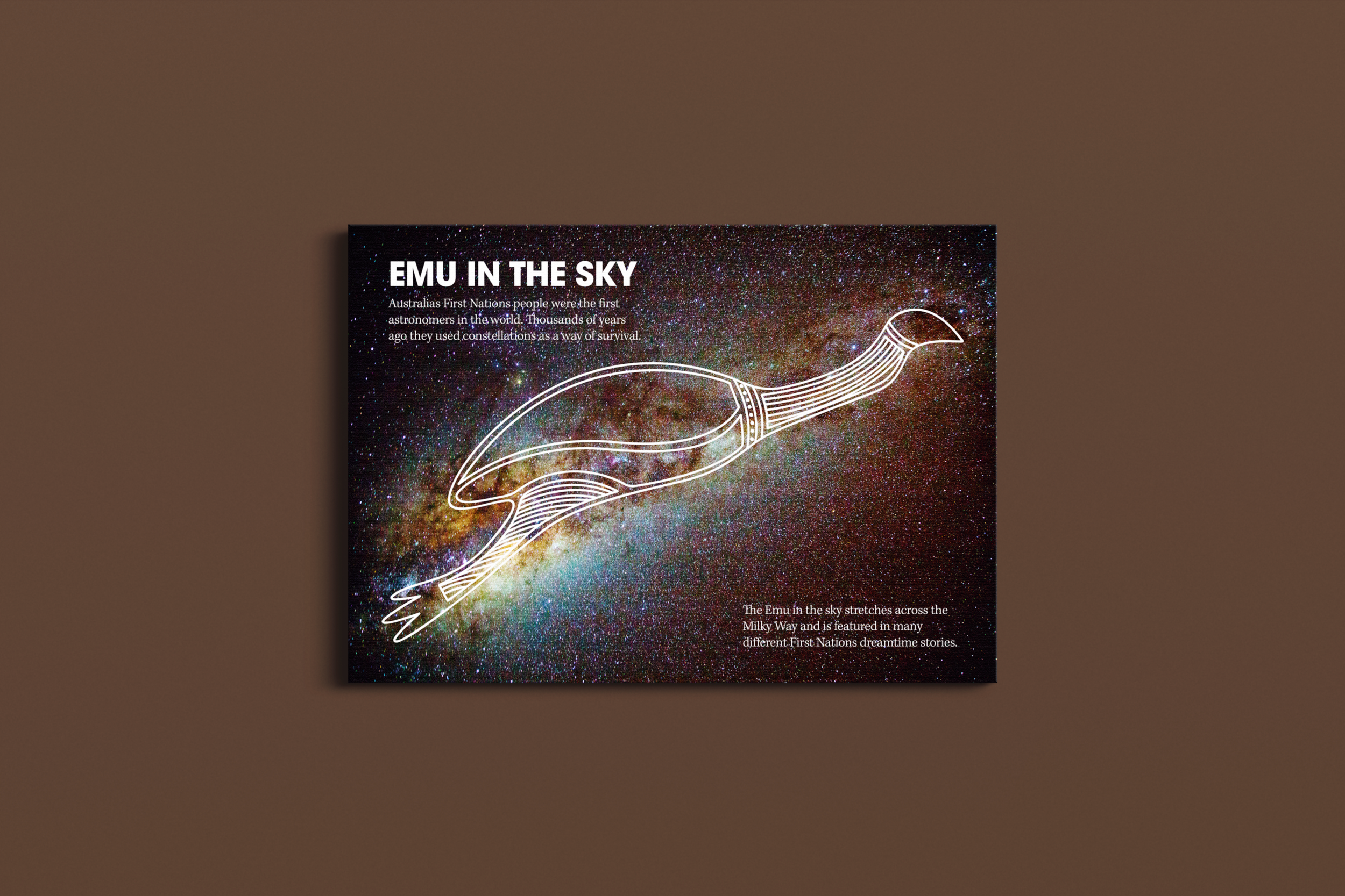 EMU IN THE SKY