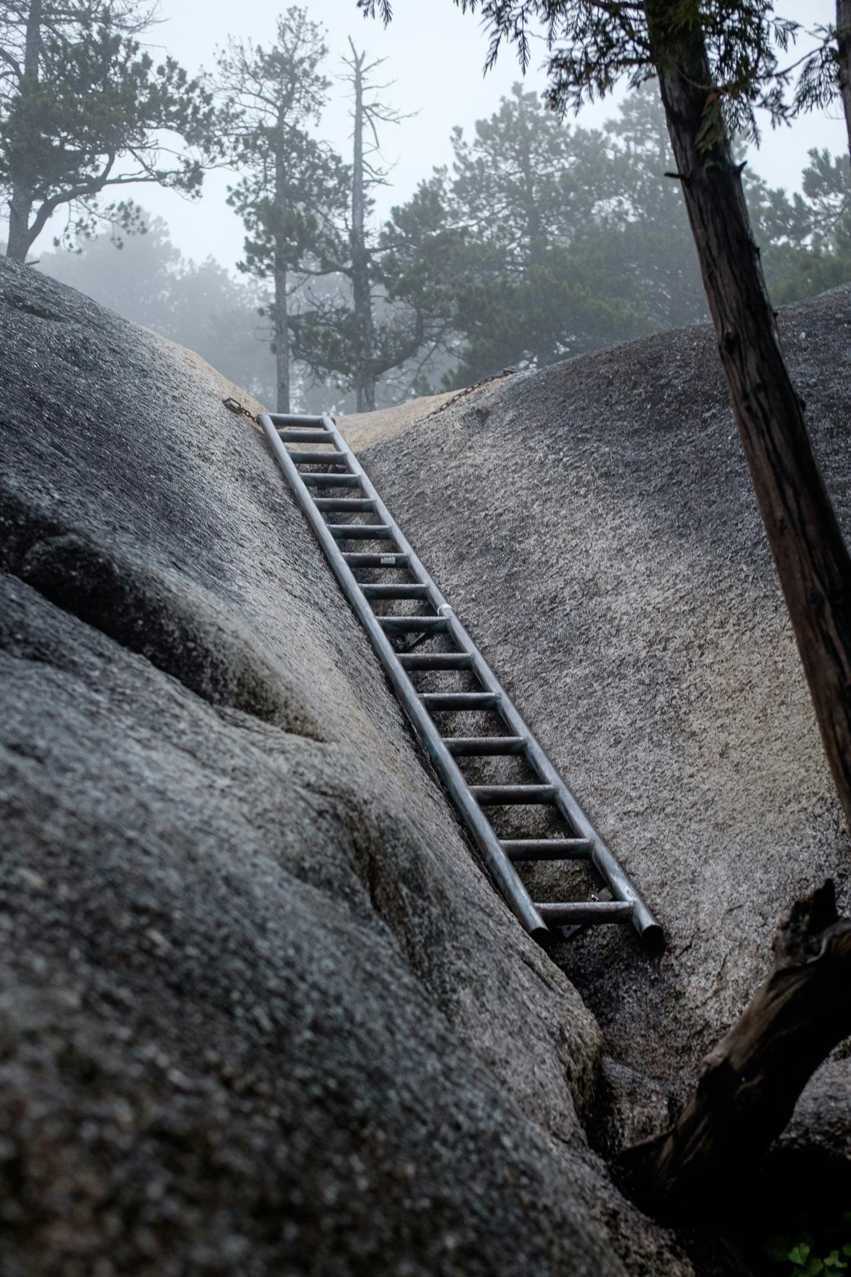 Ladder attached to a rock face on the Chief hike in Squamish, BC represents overcoming fears and adversity through somatic work and EMDR therapy.