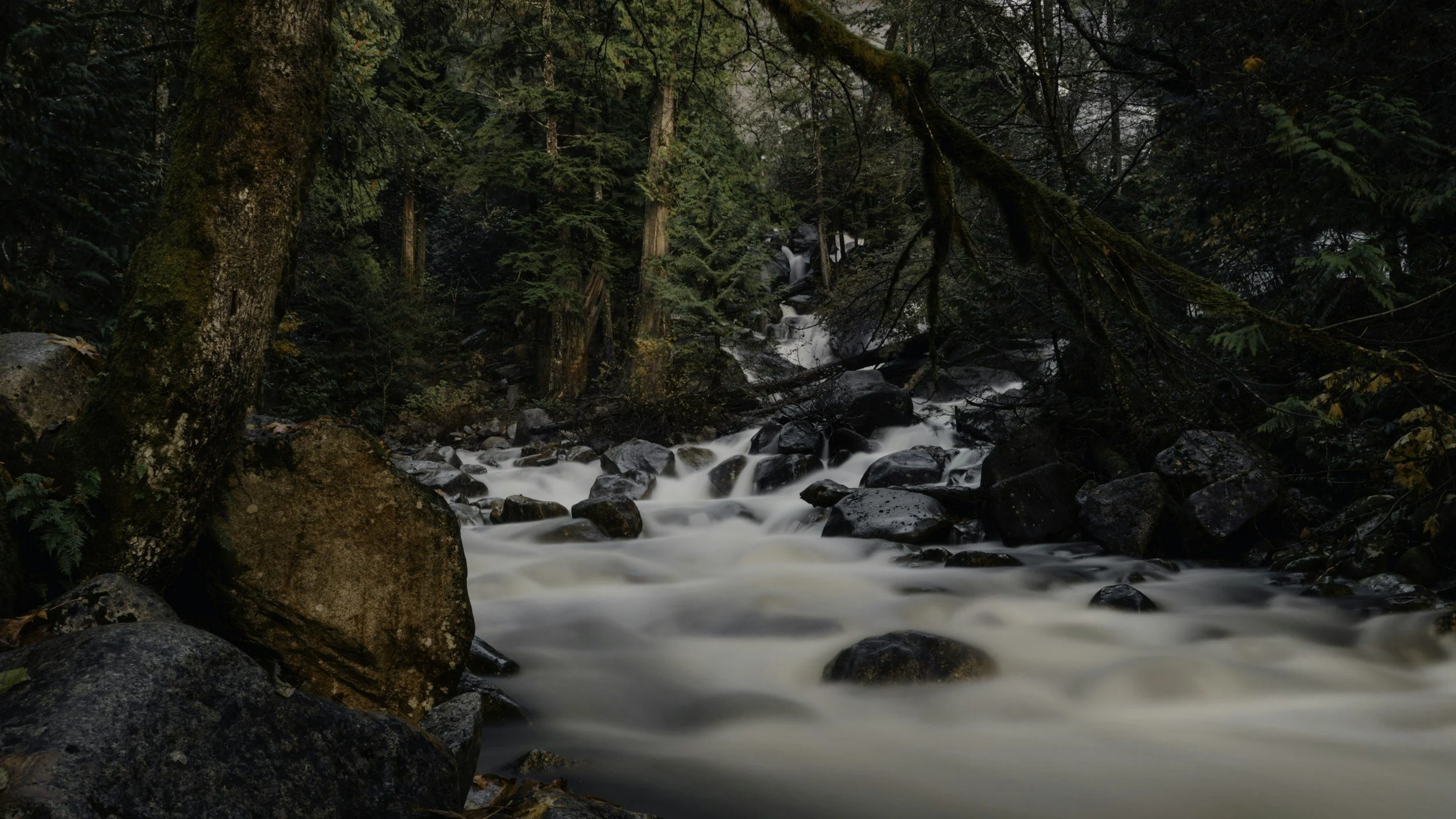 Squamish River representing somatic counselling and emdr therapy, positive shifts