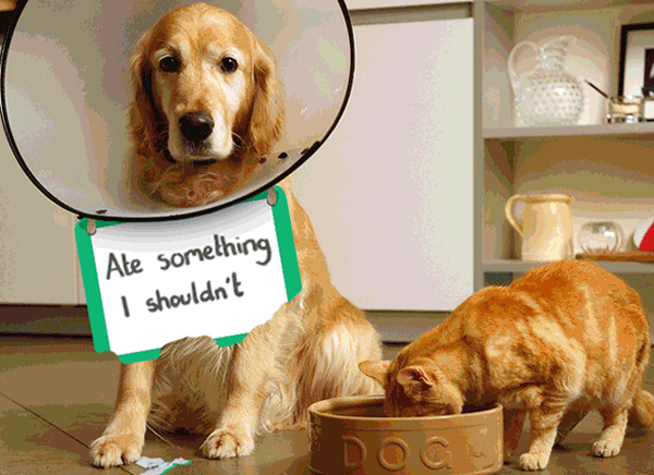 Lloyds Banking Group