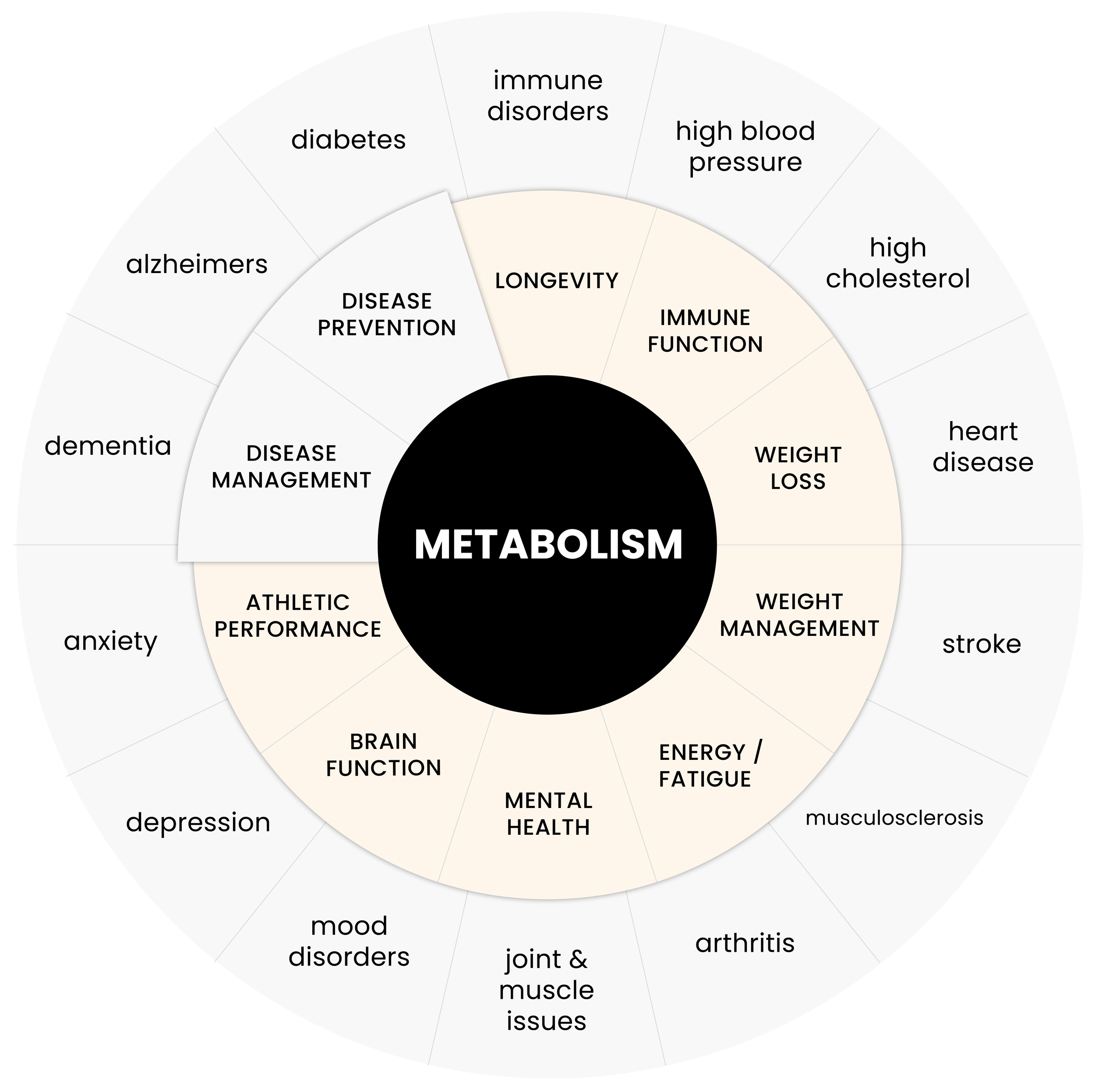 Chart showing the many different diseases and functions of health that are tied to metabolism.