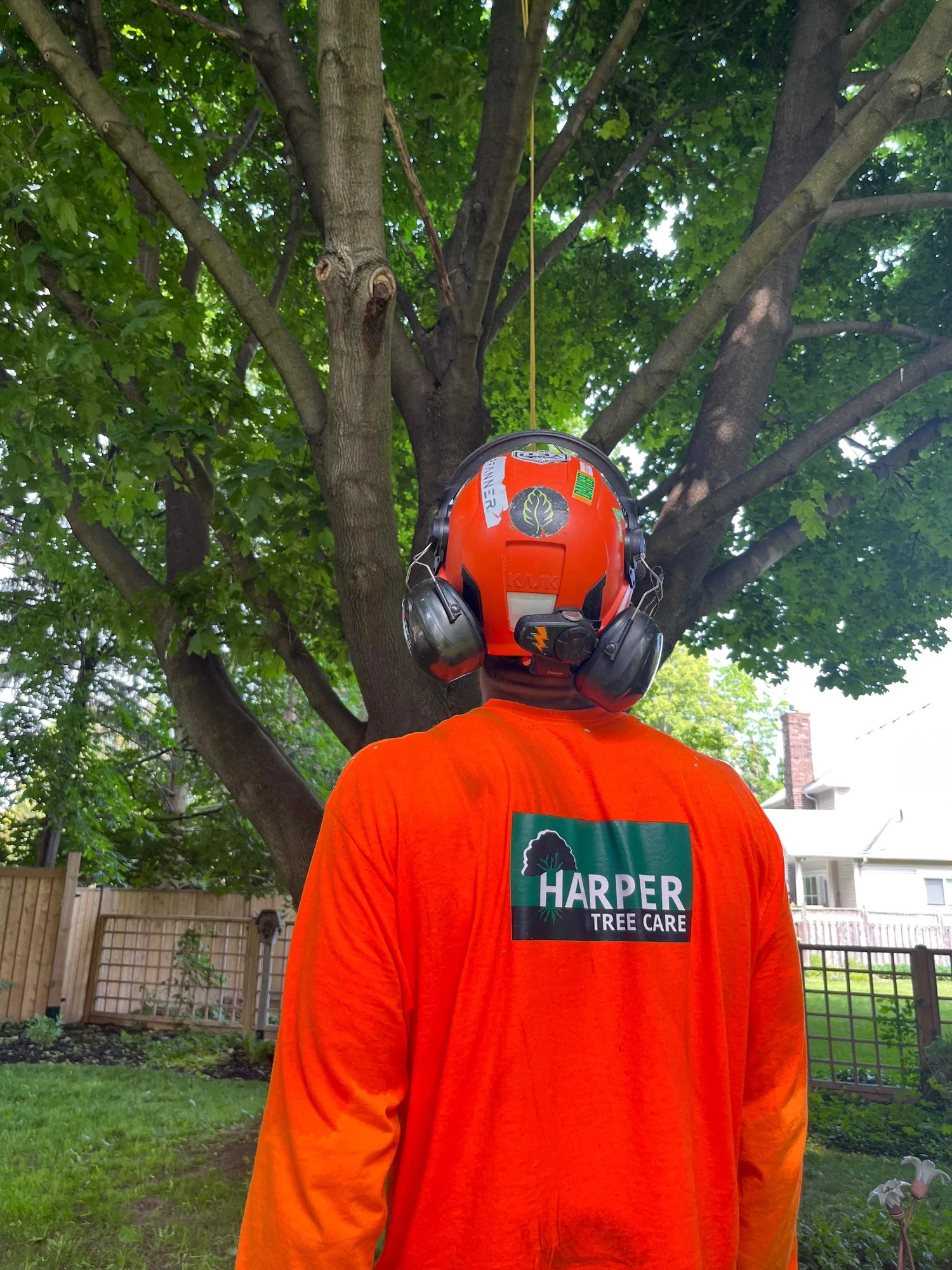 Harper Tree Care