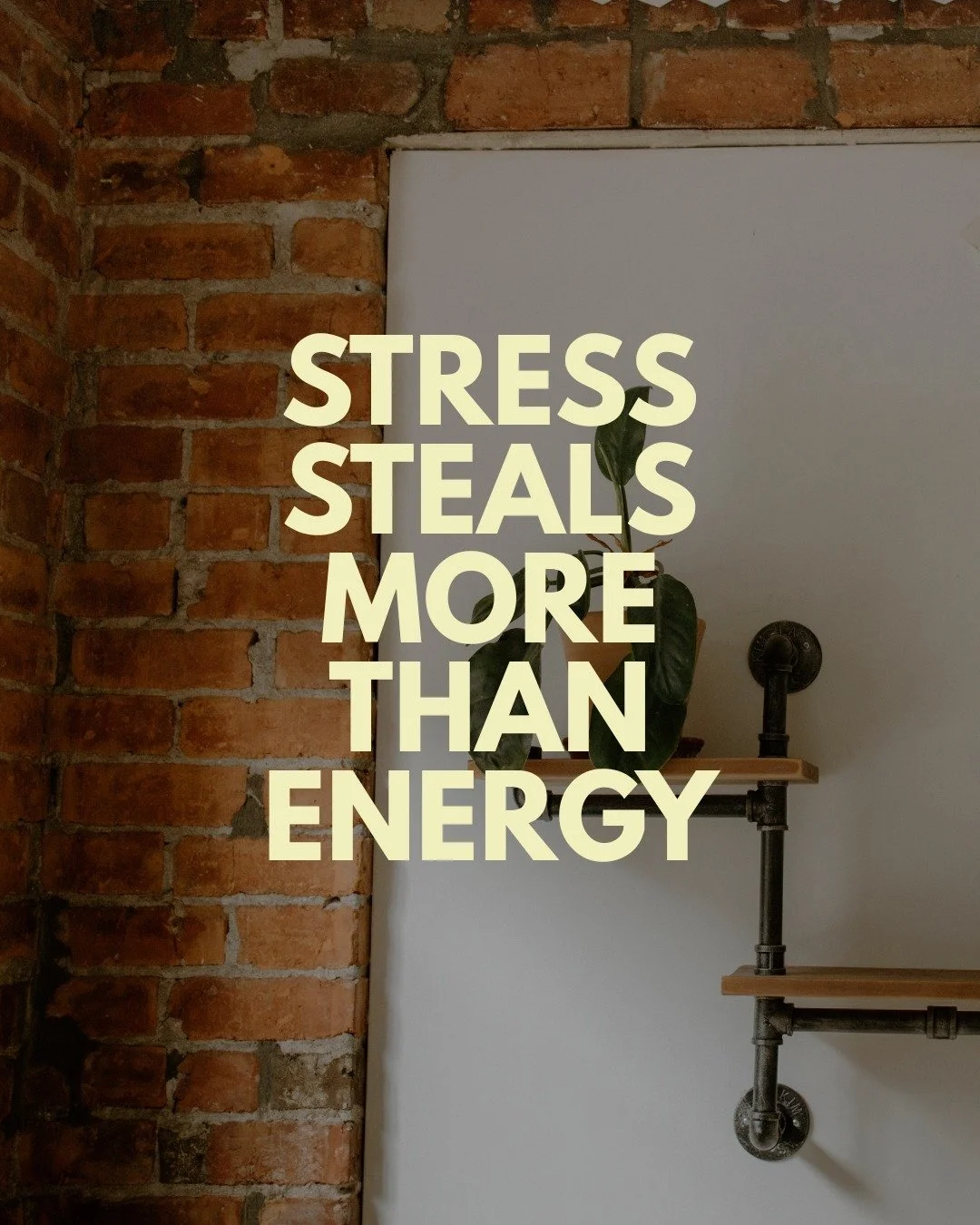 Mineral maxing starts with the daily basics that help the body feel nourished, steady, and supported again. 

Stress can quietly deplete minerals that are needed for energy, sleep, digestion, hormone balance, muscle function, and nervous system regul