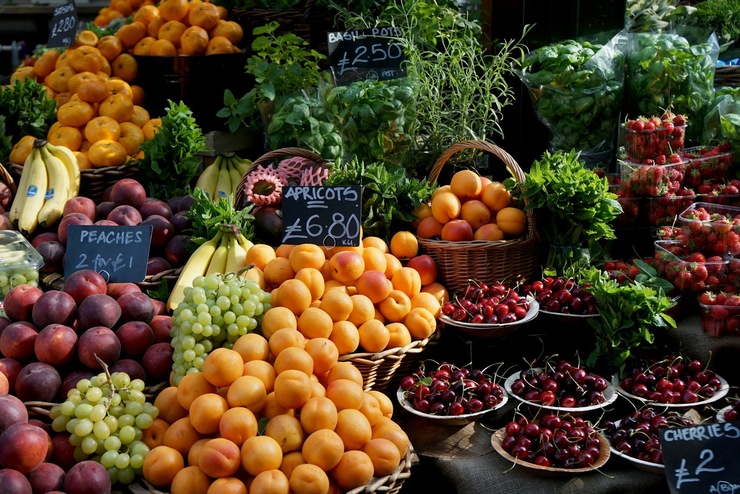 difference between dieitian and nutritionist in vancouver and abbotsford BC