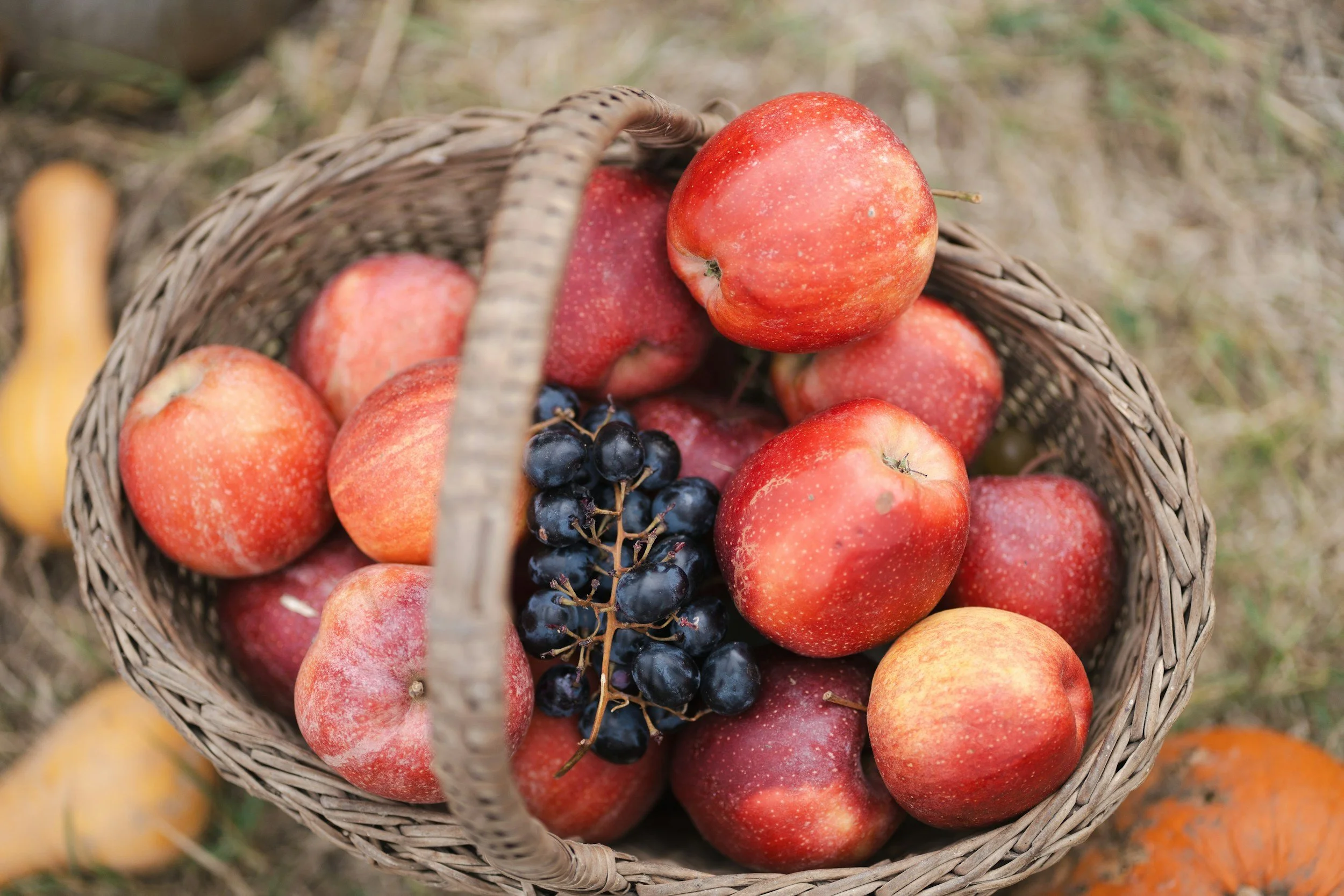 abbotsford and vancouver holistic nutritionist