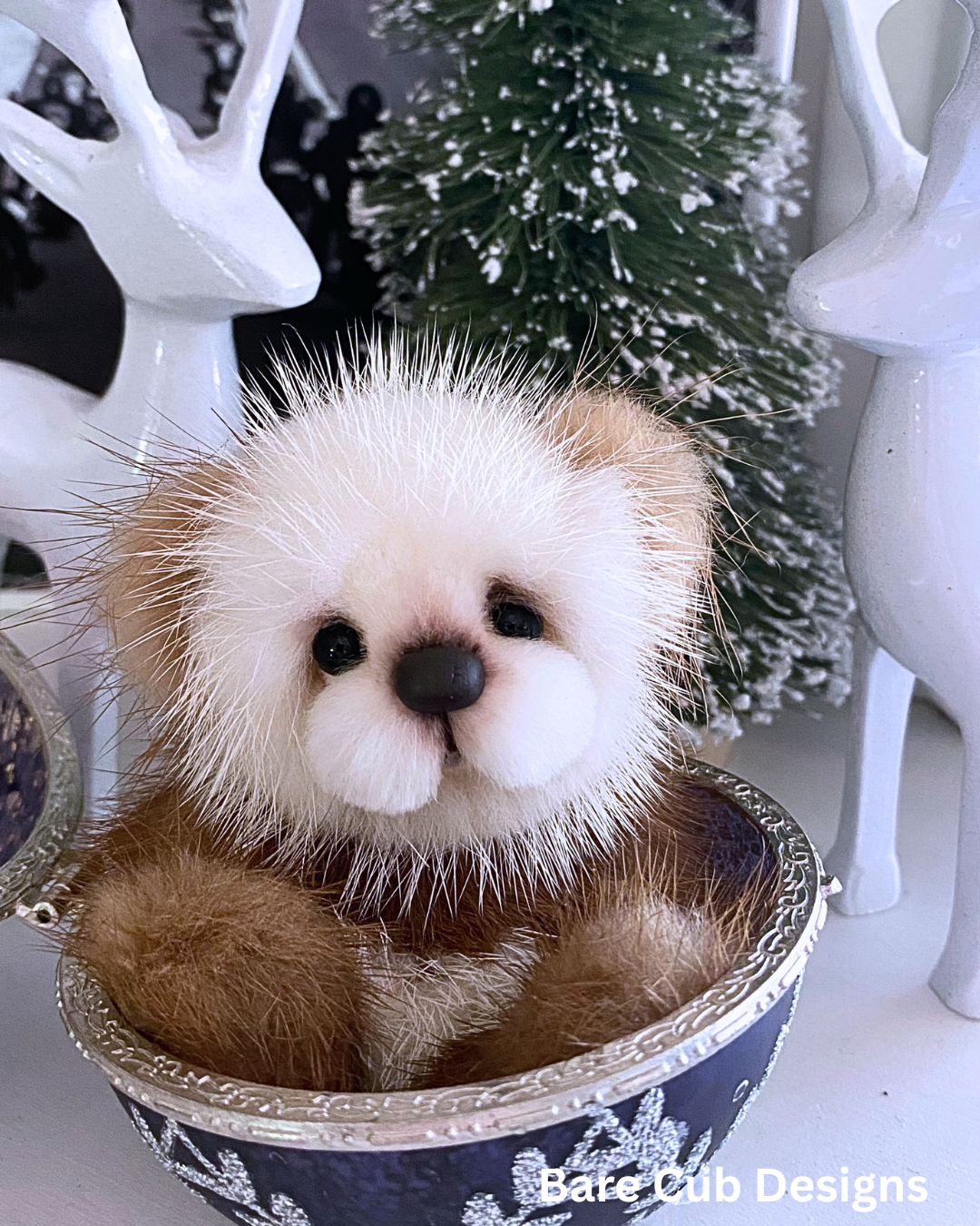 Shortbread Bare Cub Designs 2025 7.png