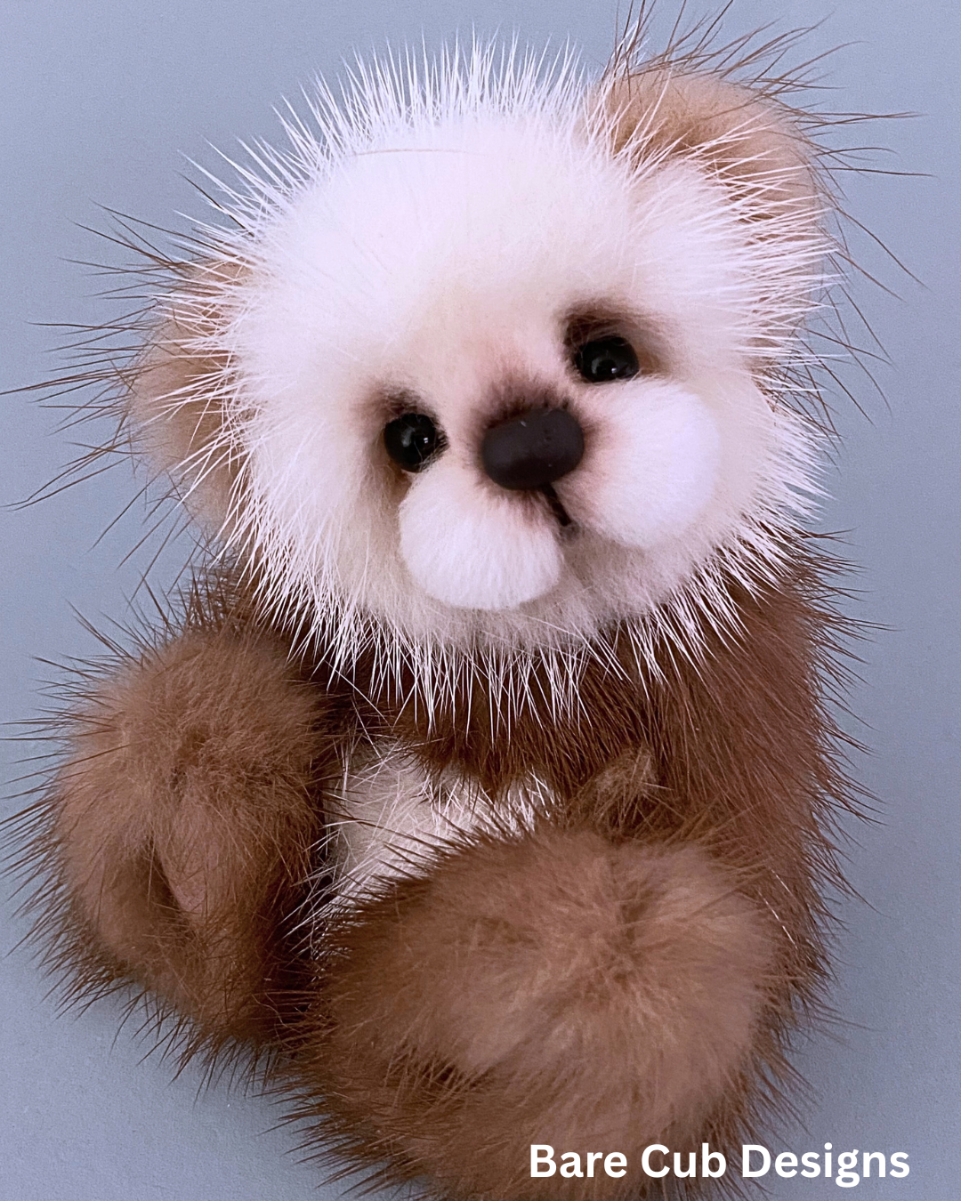 Shortbread Bare Cub Designs 2025 6.png