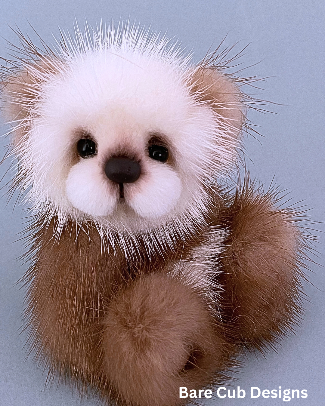 Shortbread Bare Cub Designs 2025 5.png