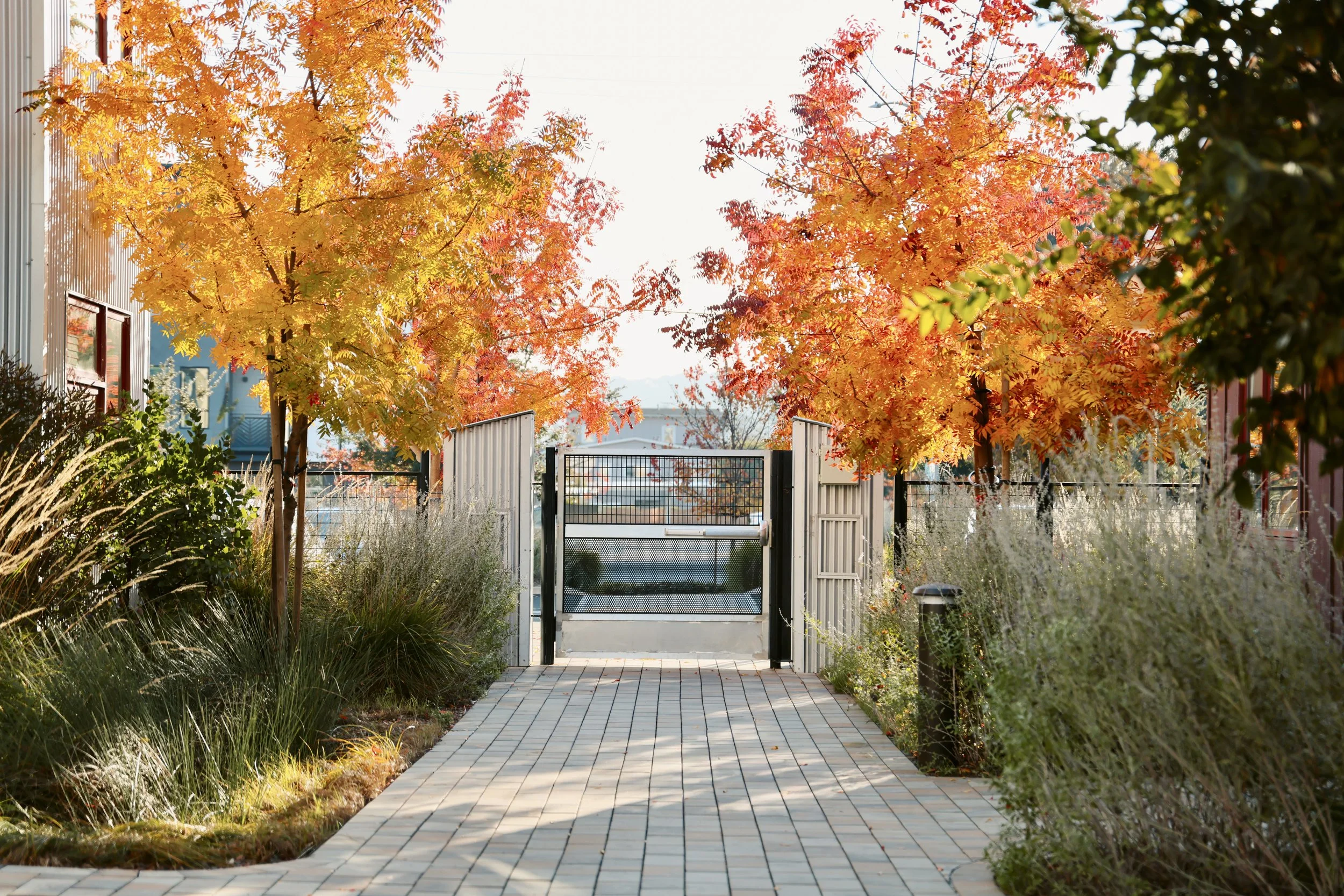 Photo Dec 10 2025, 3 12 32 PM.JPG