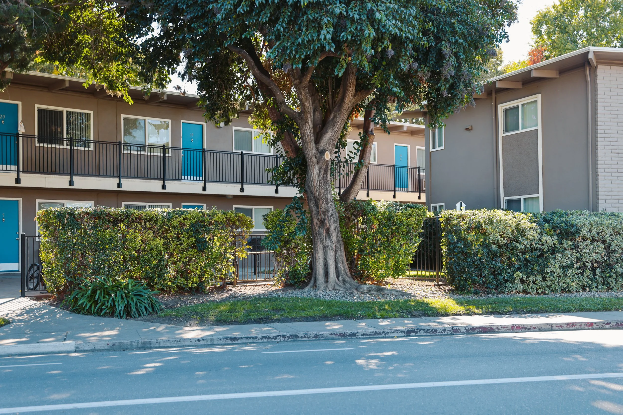 .com.apple.Foundation.NSItemProvider.0lrqo9 2.JPG