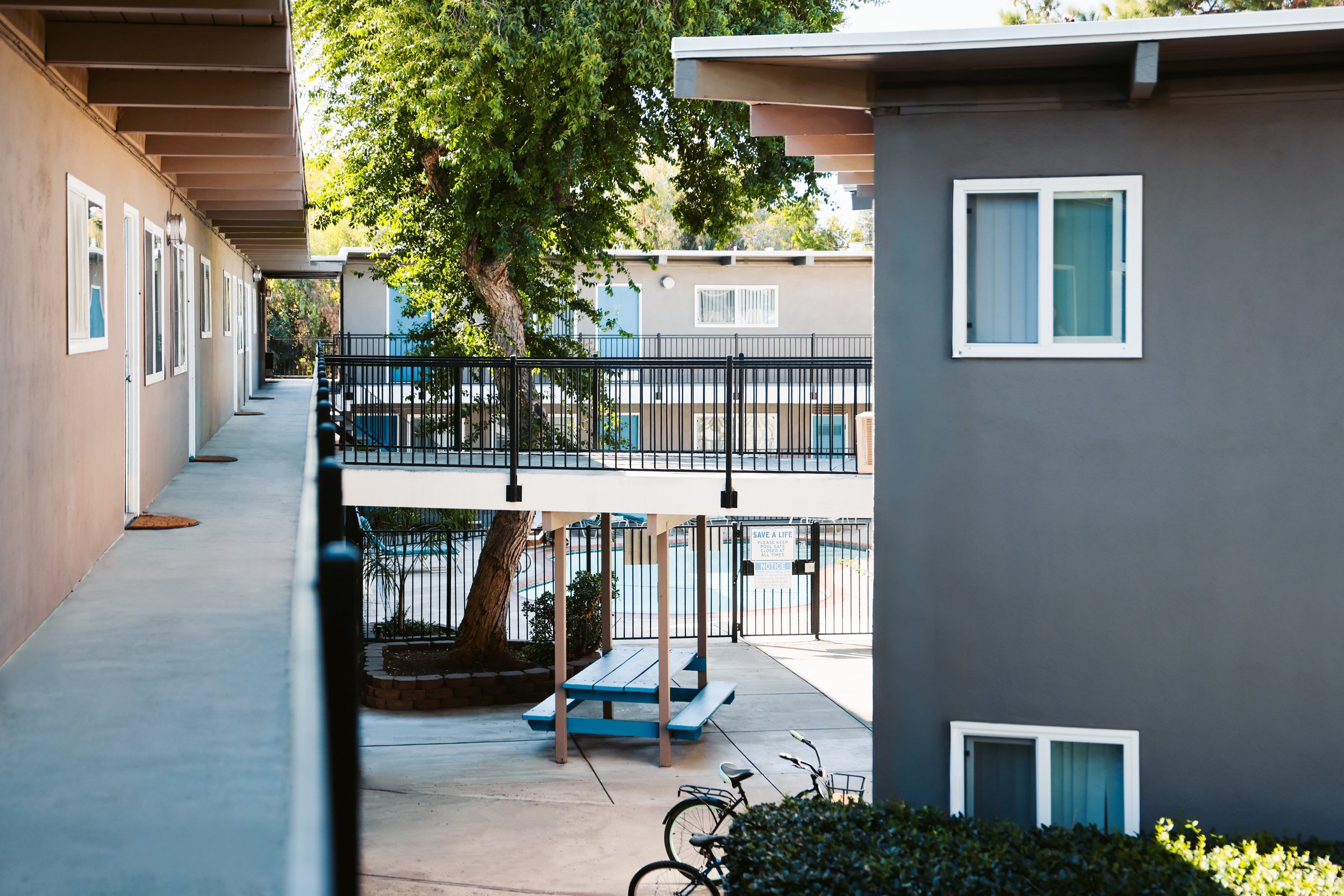 .com.apple.Foundation.NSItemProvider.VggTQ4 2.JPG