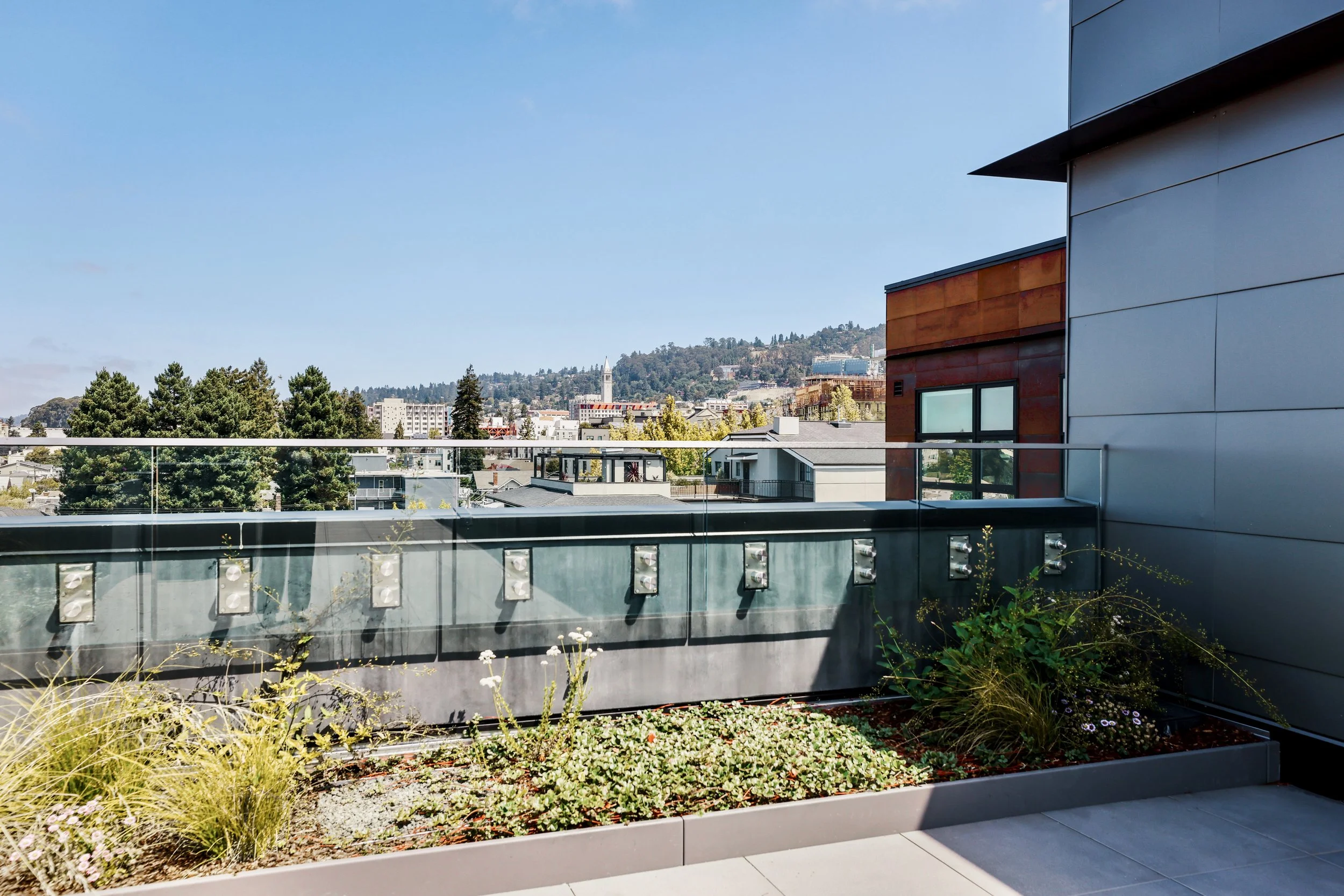 Photo Jul 28 2025, 10 34 21 AM.JPG