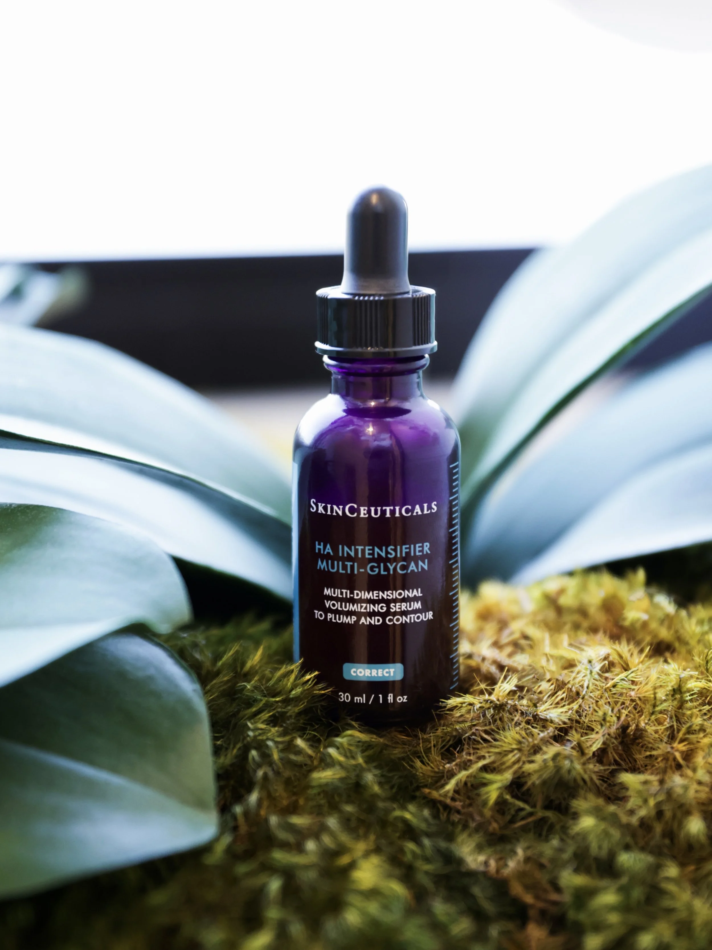 Photo Jul 02 2025, 10 04 07 AM.JPG