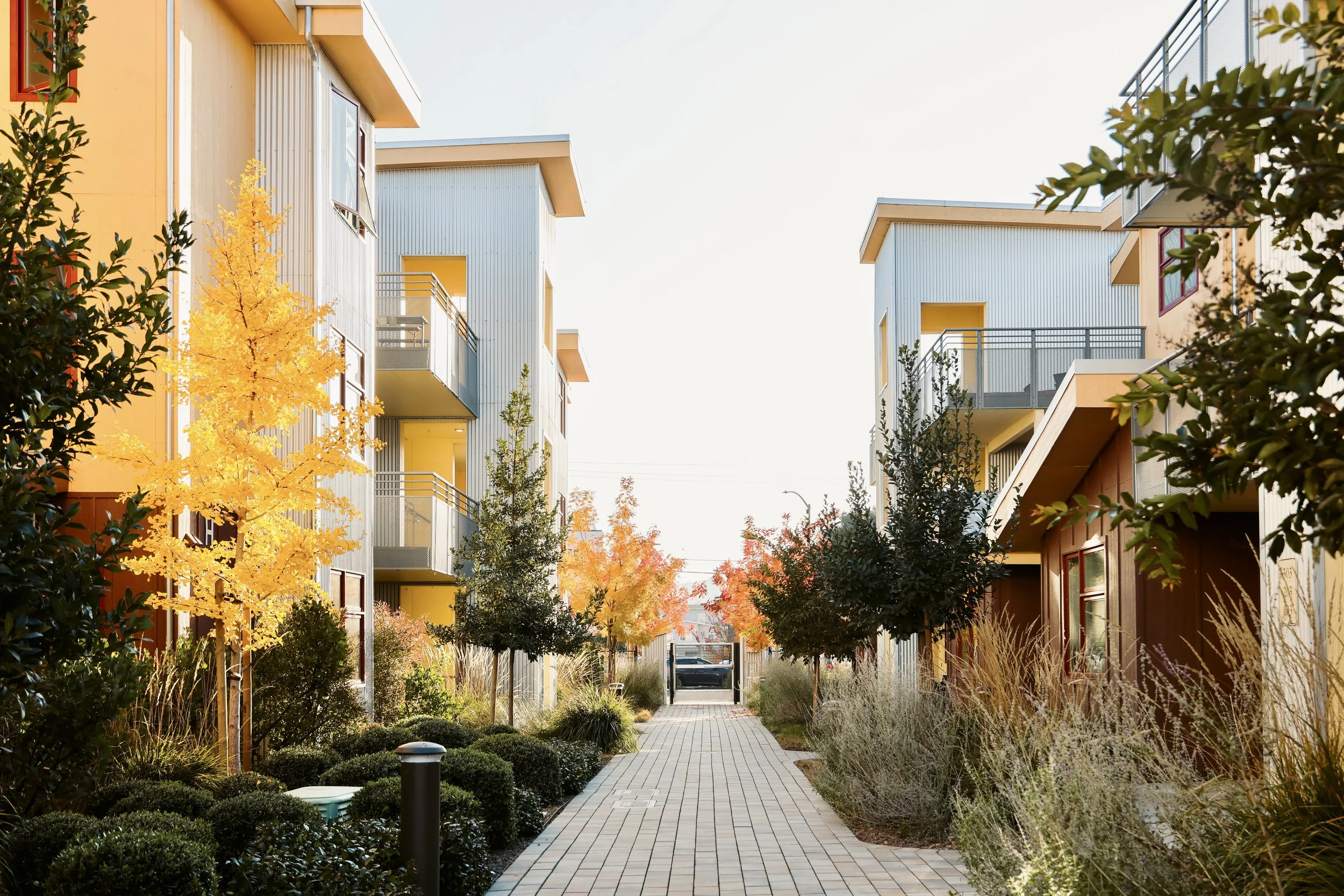 Photo Dec 10 2025, 3 11 30 PM.JPG