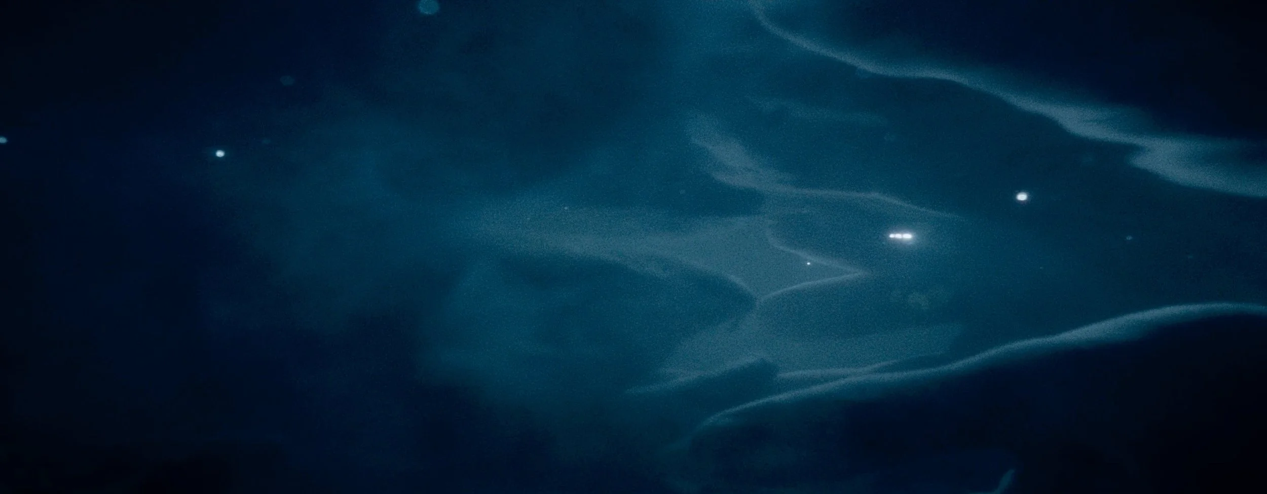 Love Into Me - Jesse Rosenthal