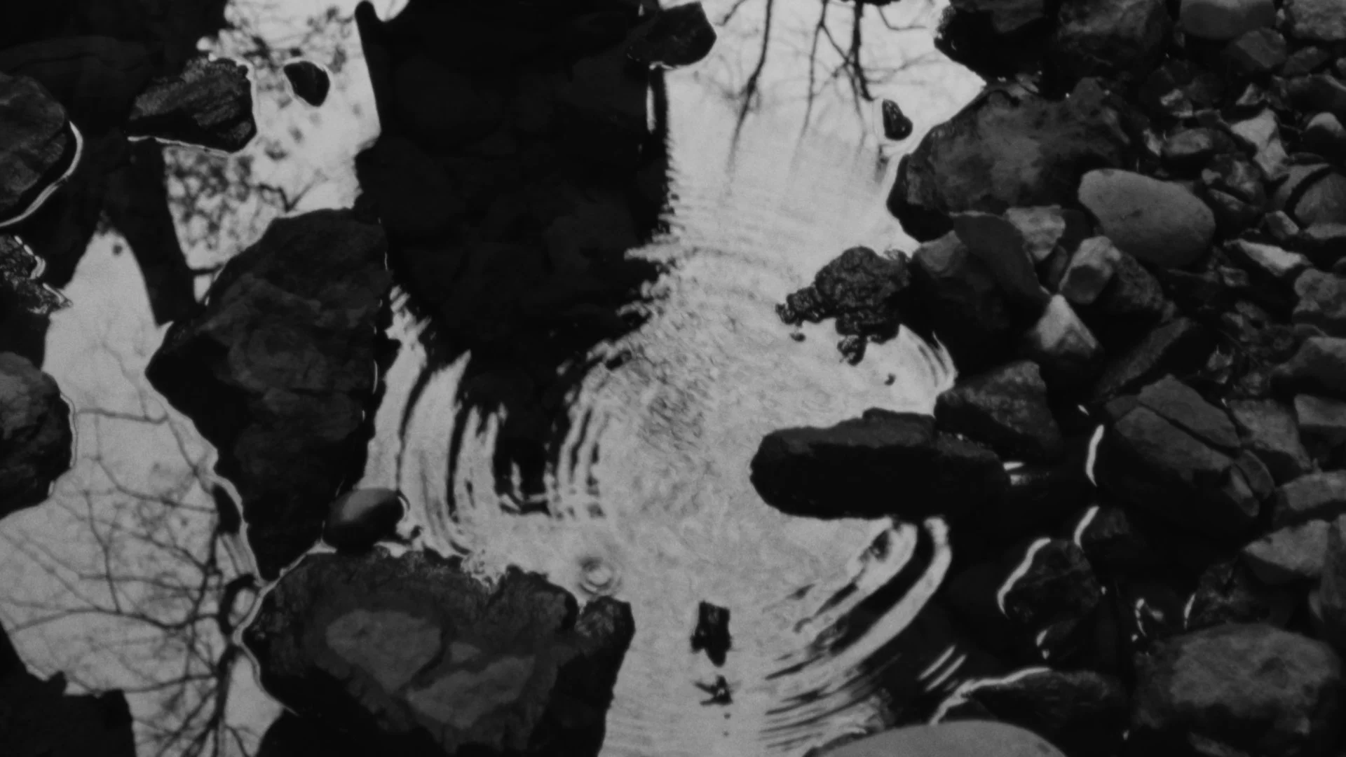 Sing Me Softly The Blues