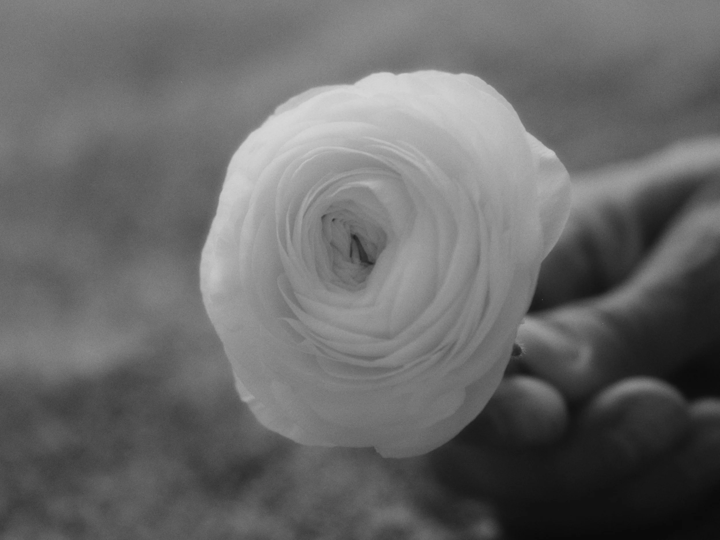 Dean Johnson - Before You Hit the Ground