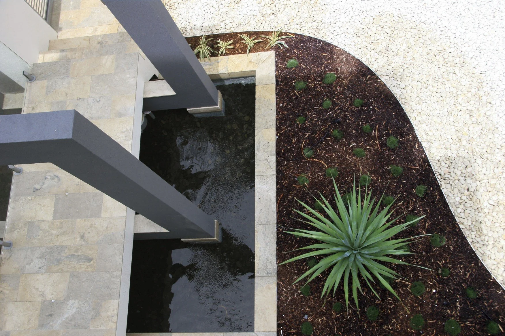 Modern outdoor garden space with a rectangular water feature, small plants, a large spiky green plant, and a gravel pathway.