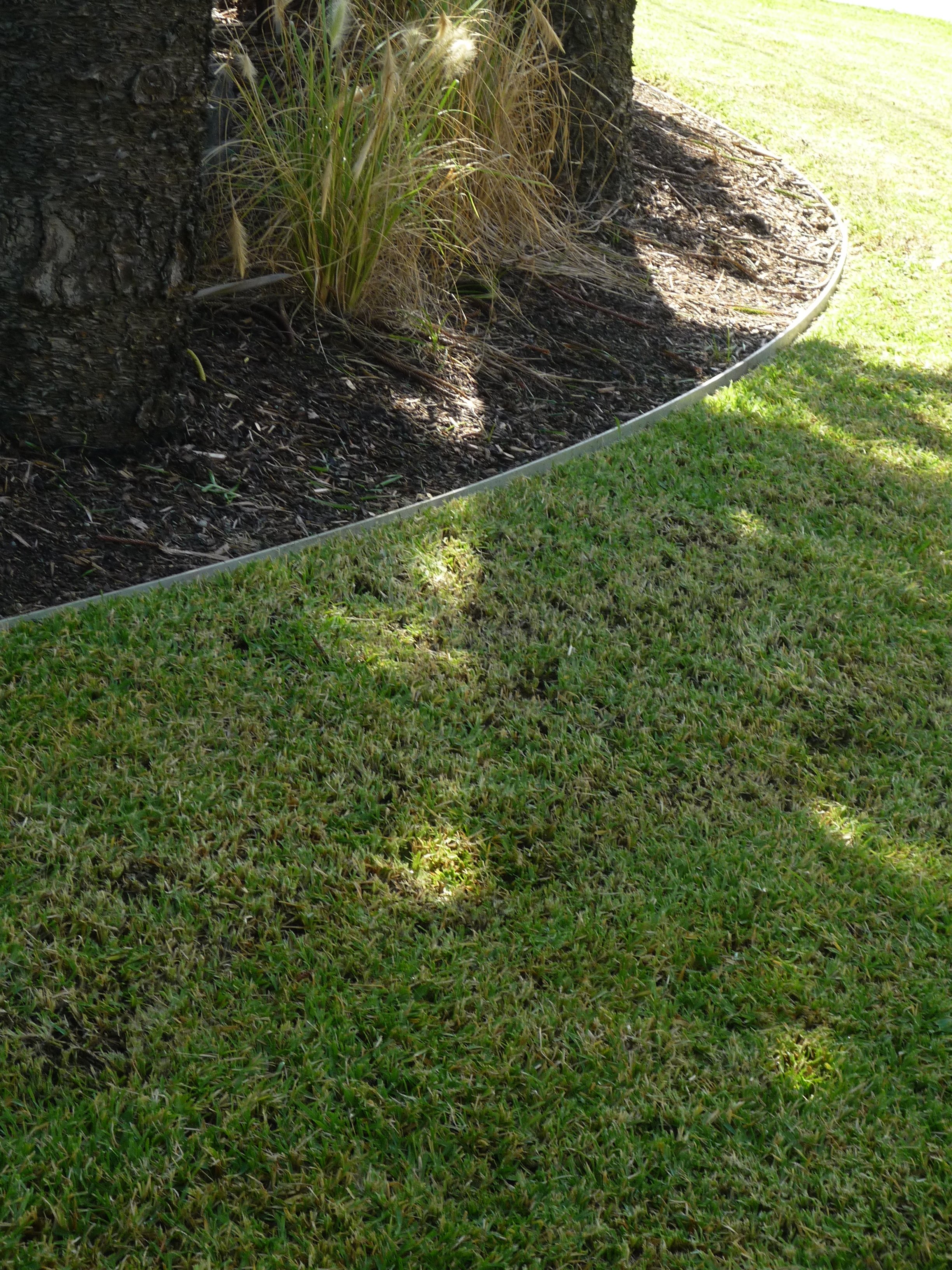 Close-up of a garden bed with rocks and plants, separated from green grass by a metal edging, with sunlight casting shadows.