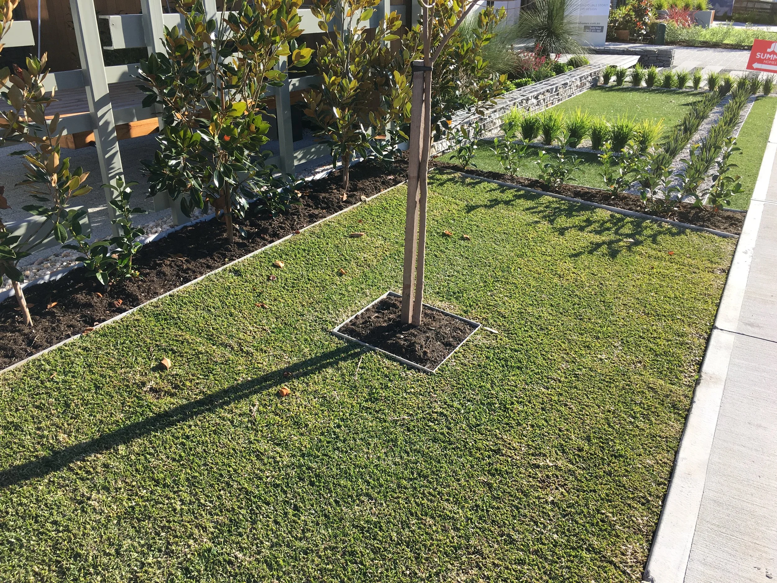 A landscaped outdoor area featuring a newly planted small tree set within a square cut-out in a lush green lawn, bordered by flower beds with bushes and small plants, cleanly defined by Hedge aluminium garden edging.