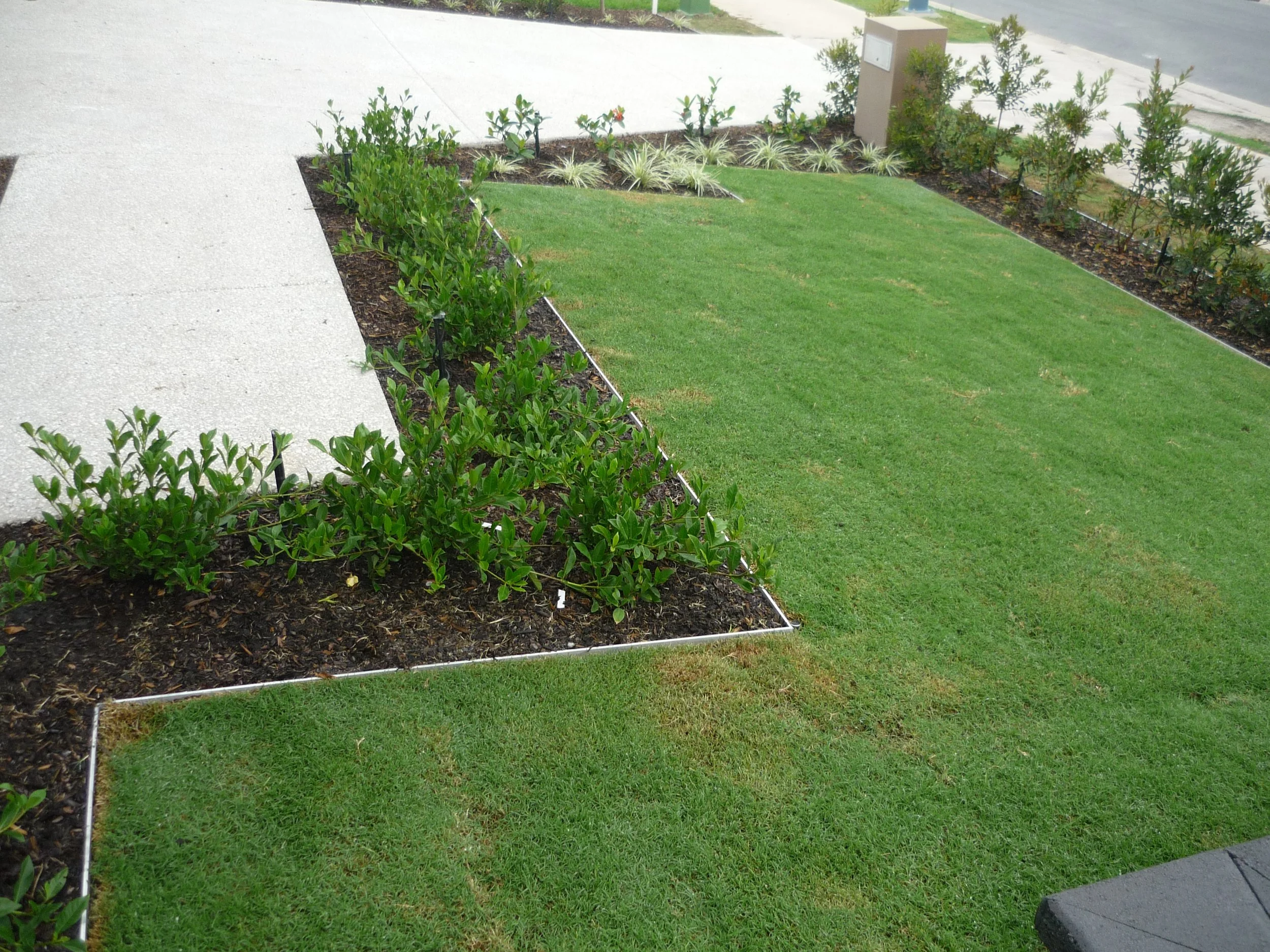 A landscaped front yard featuring lush green couch grass, neatly spaced small bushes, and a concrete walkway on the left, cleanly edged with Hedge aluminium garden edging for a sharp, modern finish.