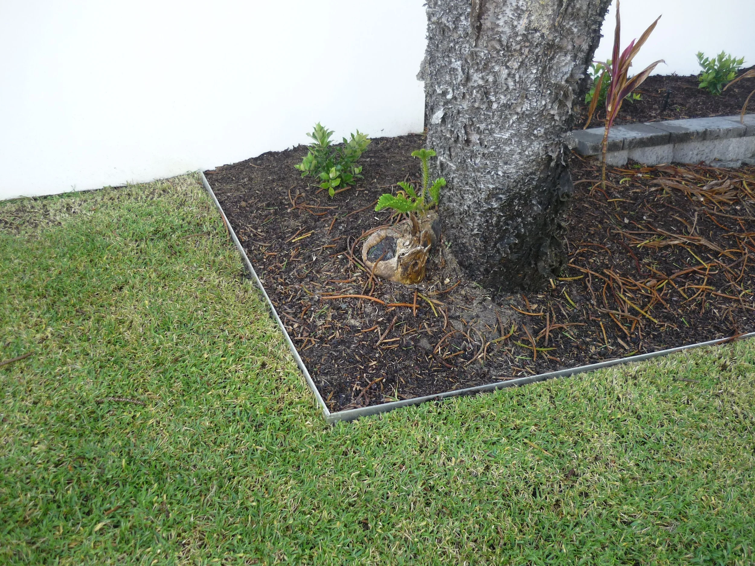 A garden bed with soil, plants, and mulch, bordered by metal edging, adjacent to a well-maintained grassy lawn