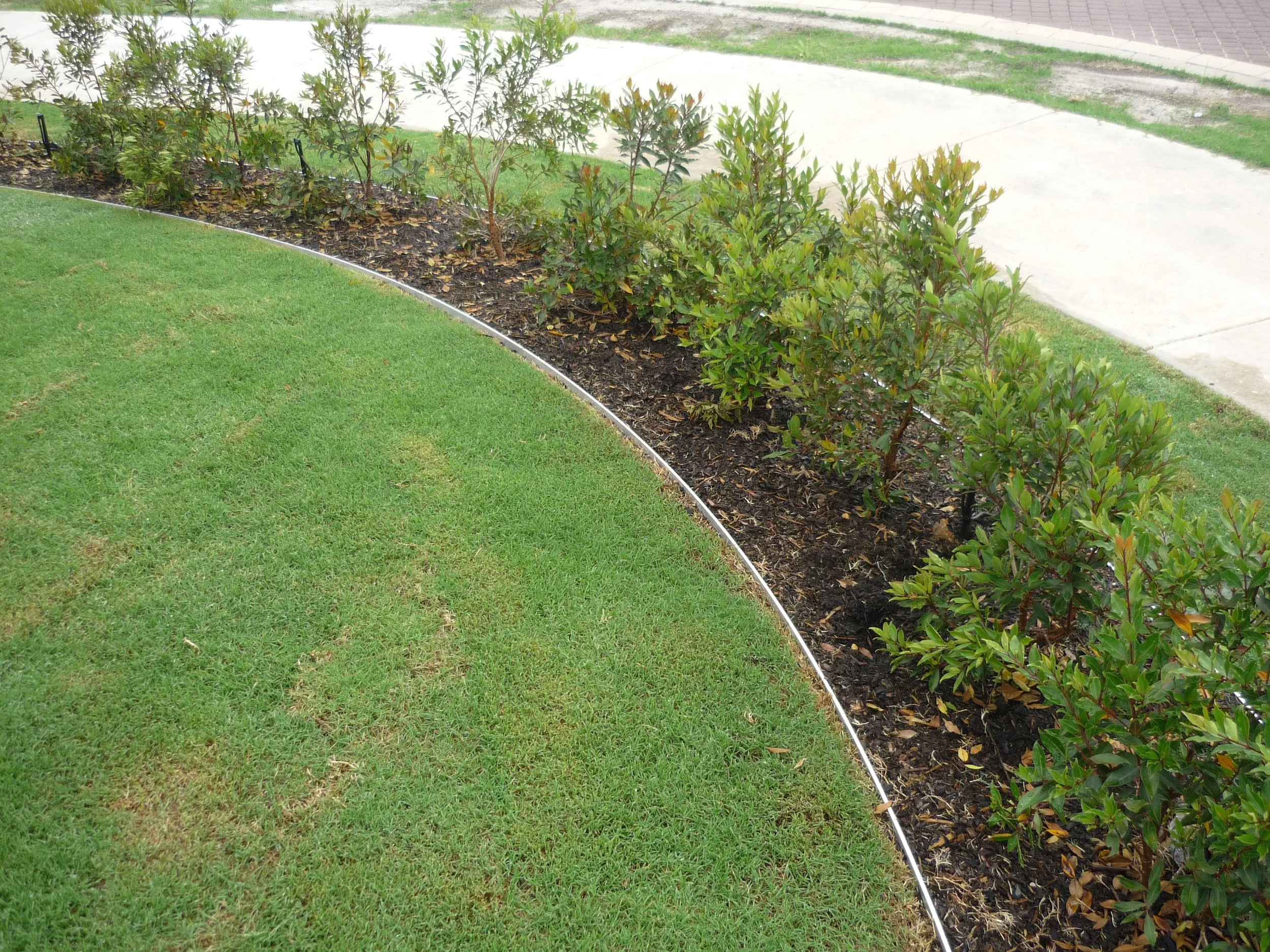 A curved patch of lush green grass bordered by durable Hedge landscape edging, with neatly planted bushes behind and a concrete sidewalk and street visible in the background.