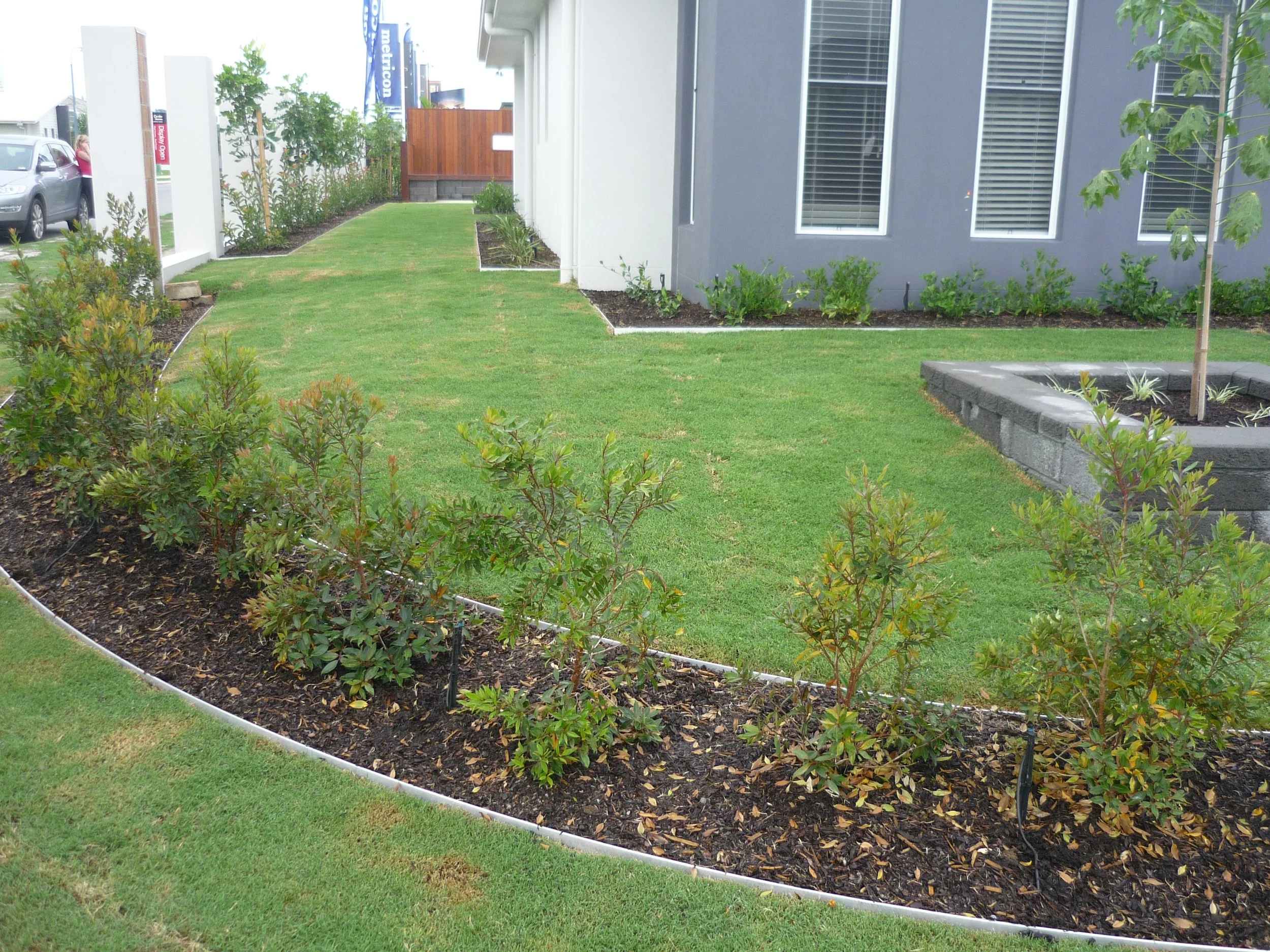 A well-maintained lawn with neatly planted bushes along a building, with a small tree in a raised gray brick planter on the right, and parked cars visible in the background on the left.