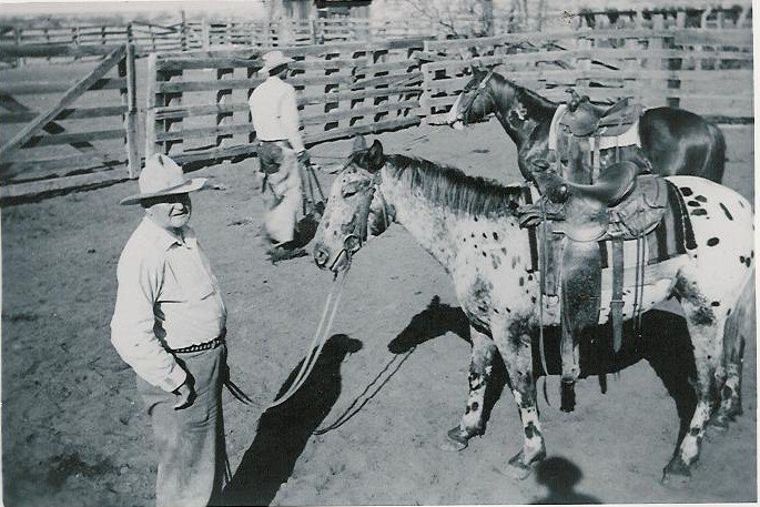 Fred & Peggy Davis — Arizona Farm and Ranch Museum & Hall of Fame