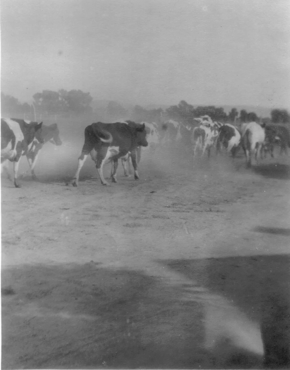 Arizona Farm and Ranch Museum & Hall of Fame