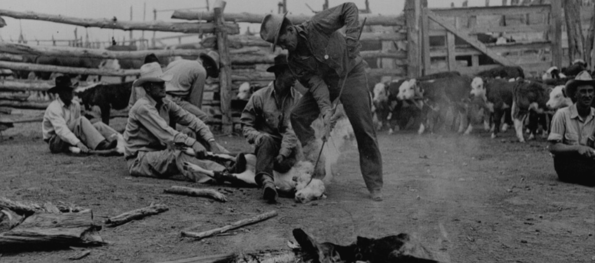 Arizona Farm and Ranch Museum & Hall of Fame