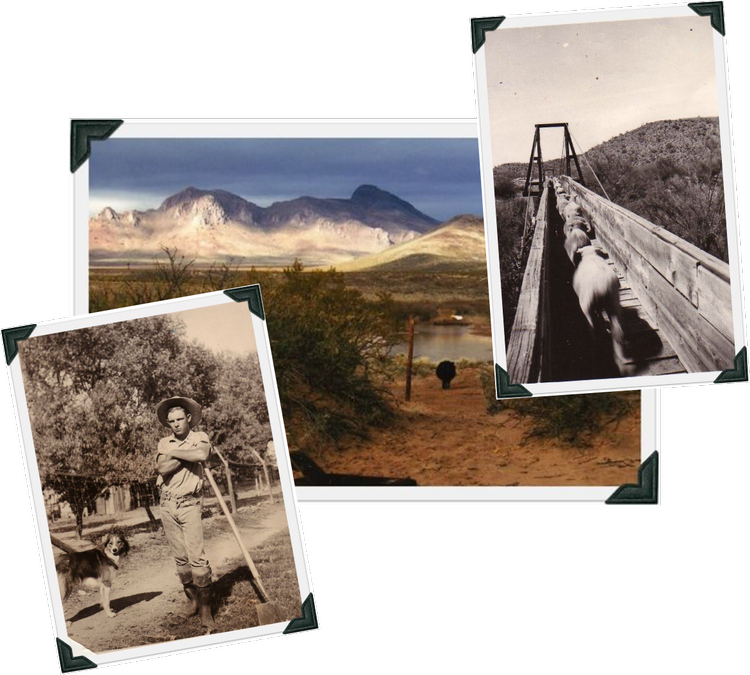 Arizona Farm and Ranch Museum & Hall of Fame