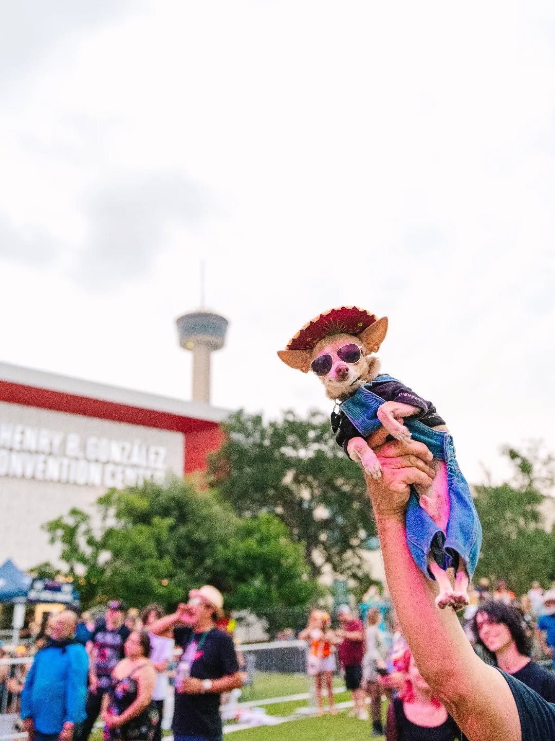 I had a whole post scheduled about wedding details but my Instagram keeps crashing when I'm about to upload. I've been through the process like 4 times now and I'm over it. 

So enjoy this photo I captured while covering La Semana Alegre for @hemisfa