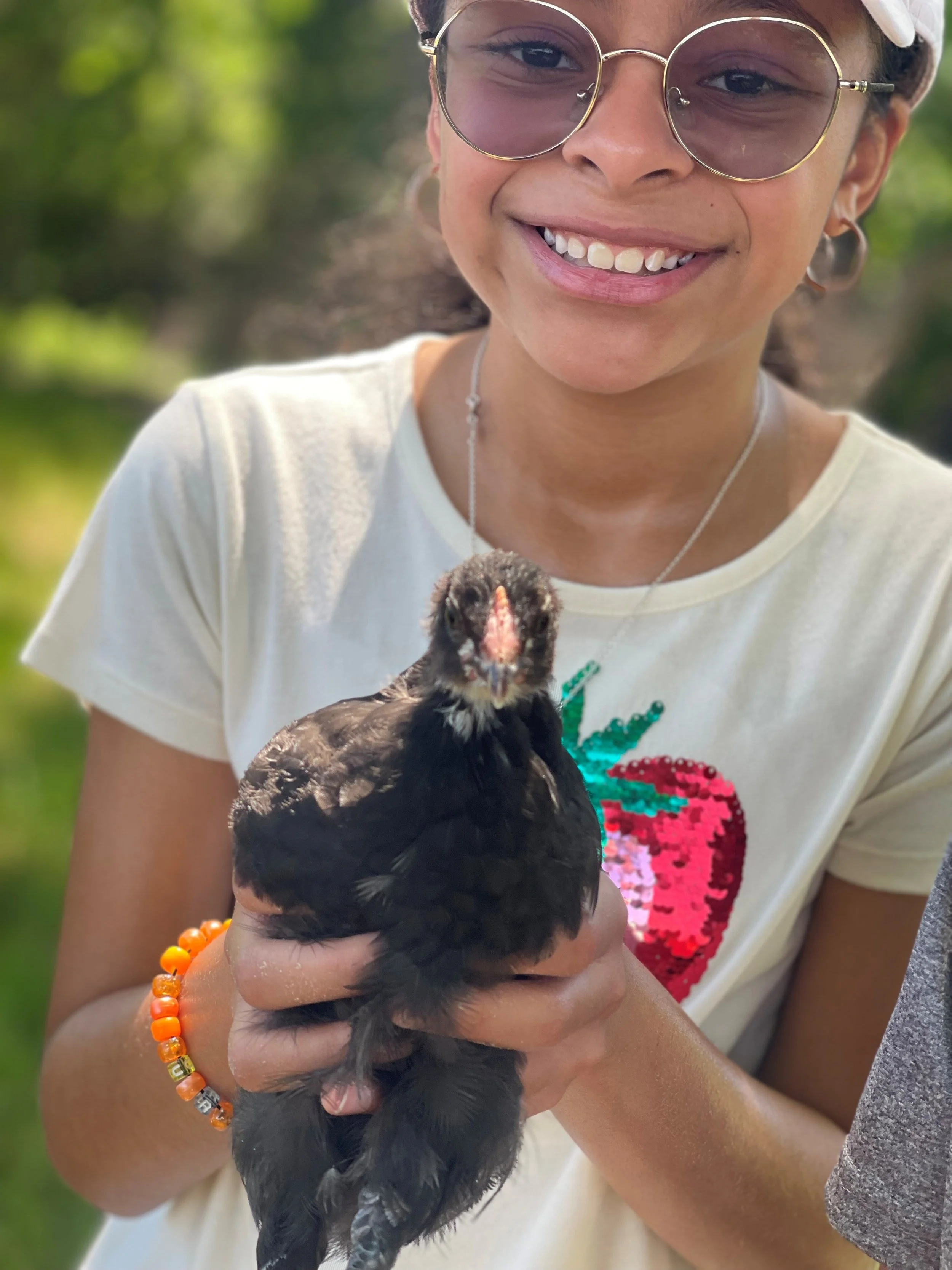 Chicken 2.jpg