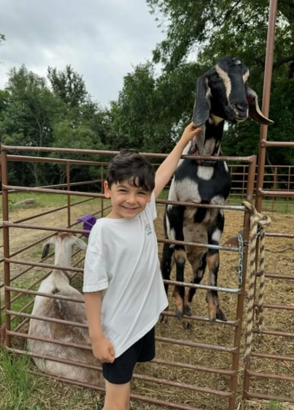 Attractions — Ruby Creek Farm